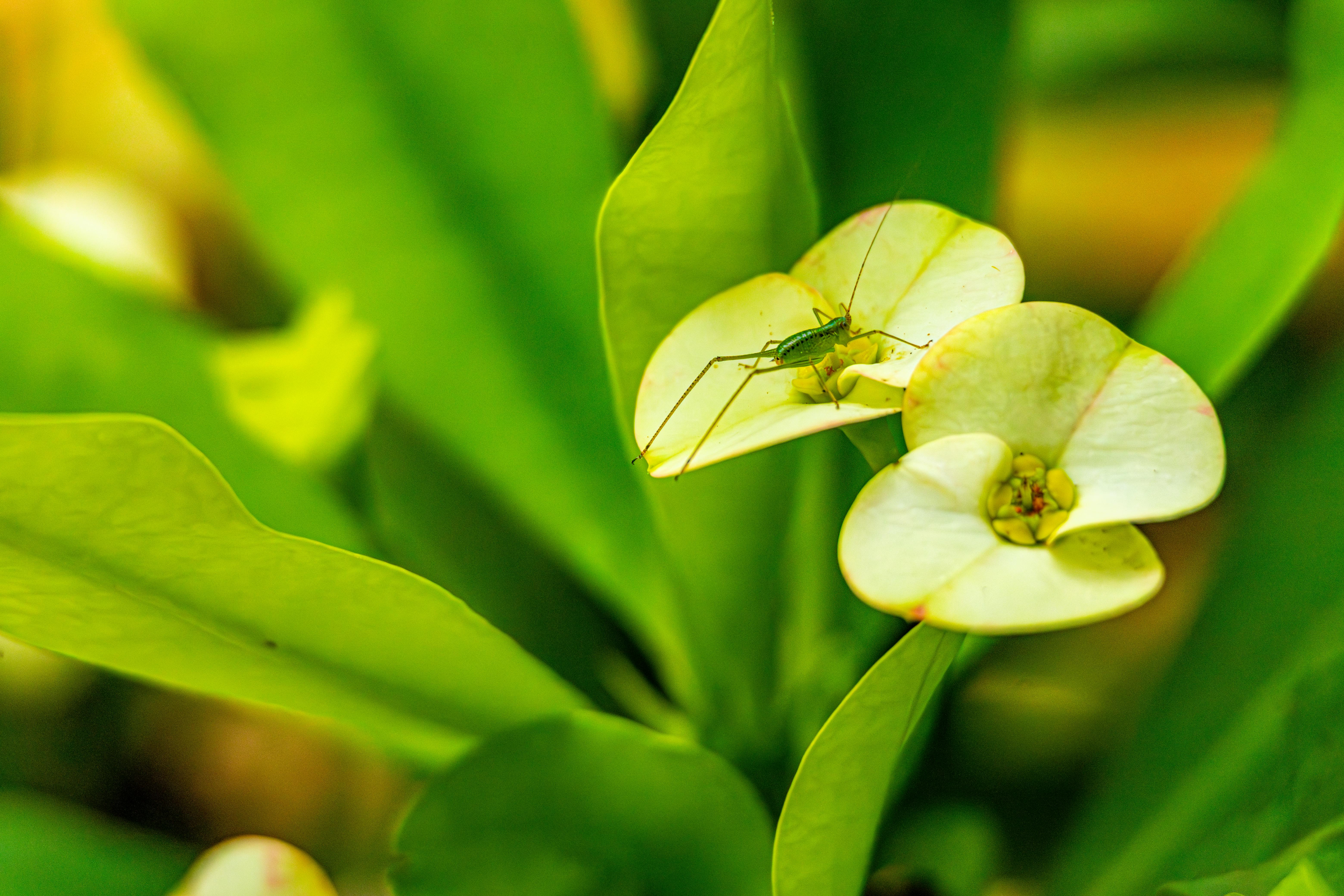 2025淨零綠生活派對引領創新轉型，共創永續未來