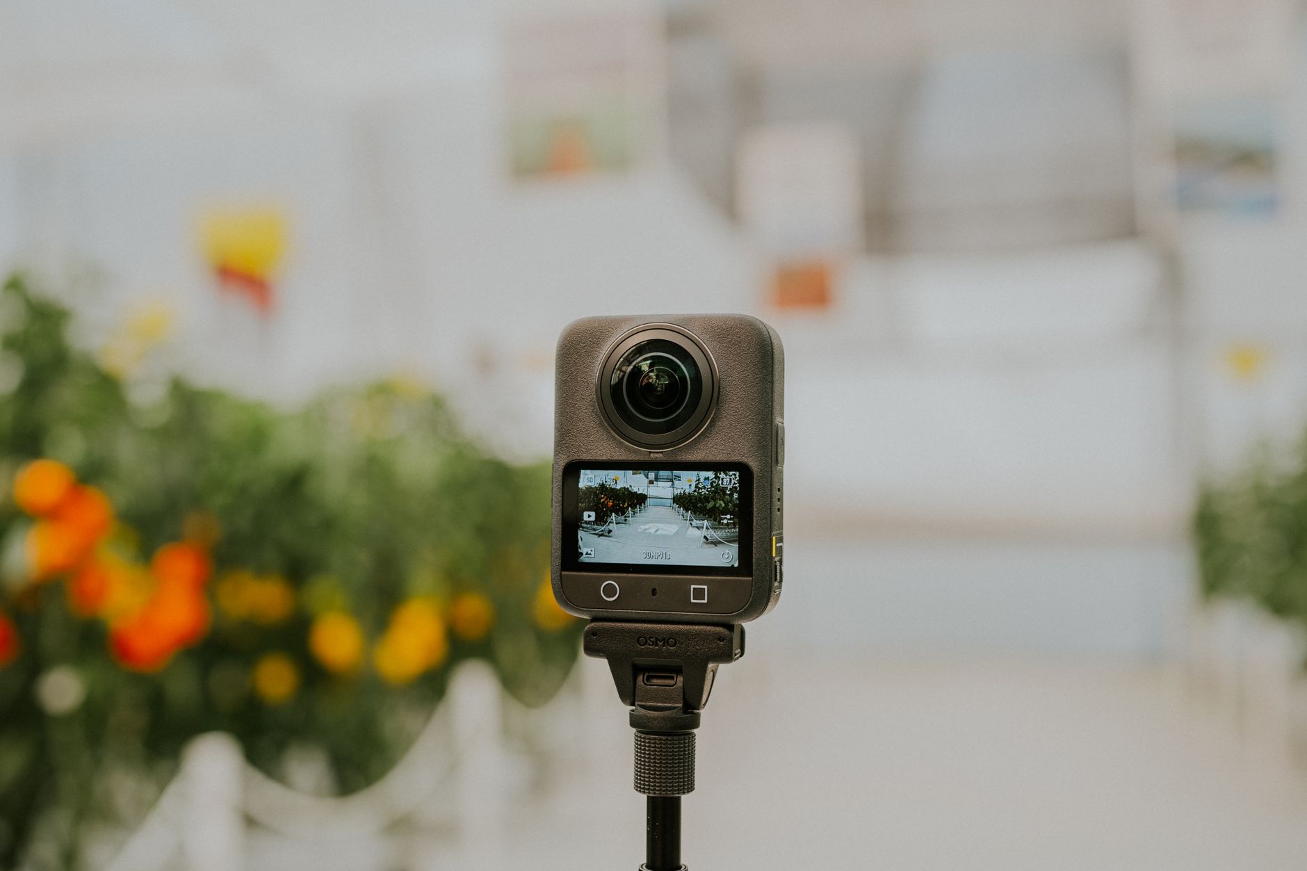 A 360-degree camera captures the vibrant interior of a greenhouse with blooming flowers.