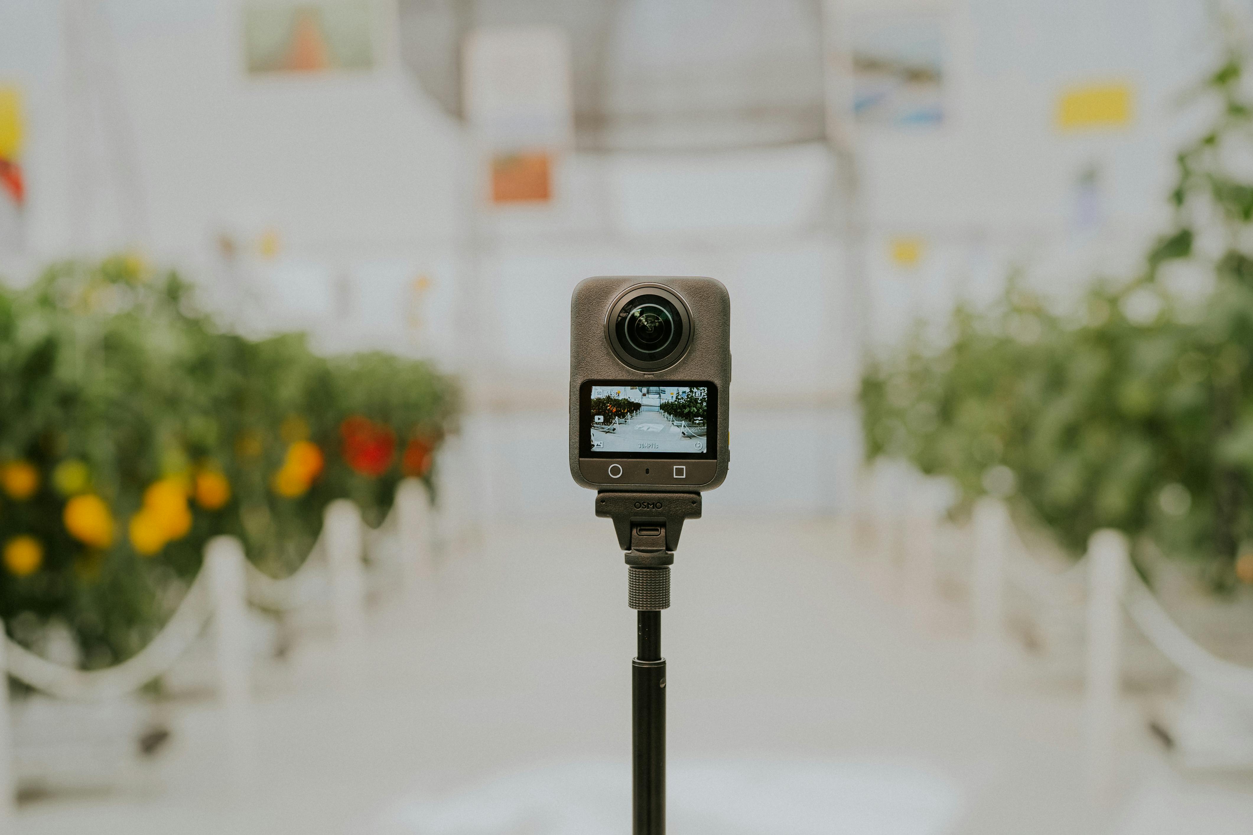 Free A 360 camera captures vibrant greenhouse scenes with lush green plants and ripe tomatoes. Stock Photo
