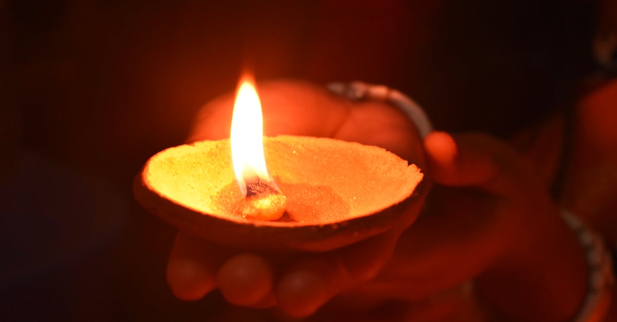 鄭麗文赴馬場町秋祭 呼籲終結政治迫害