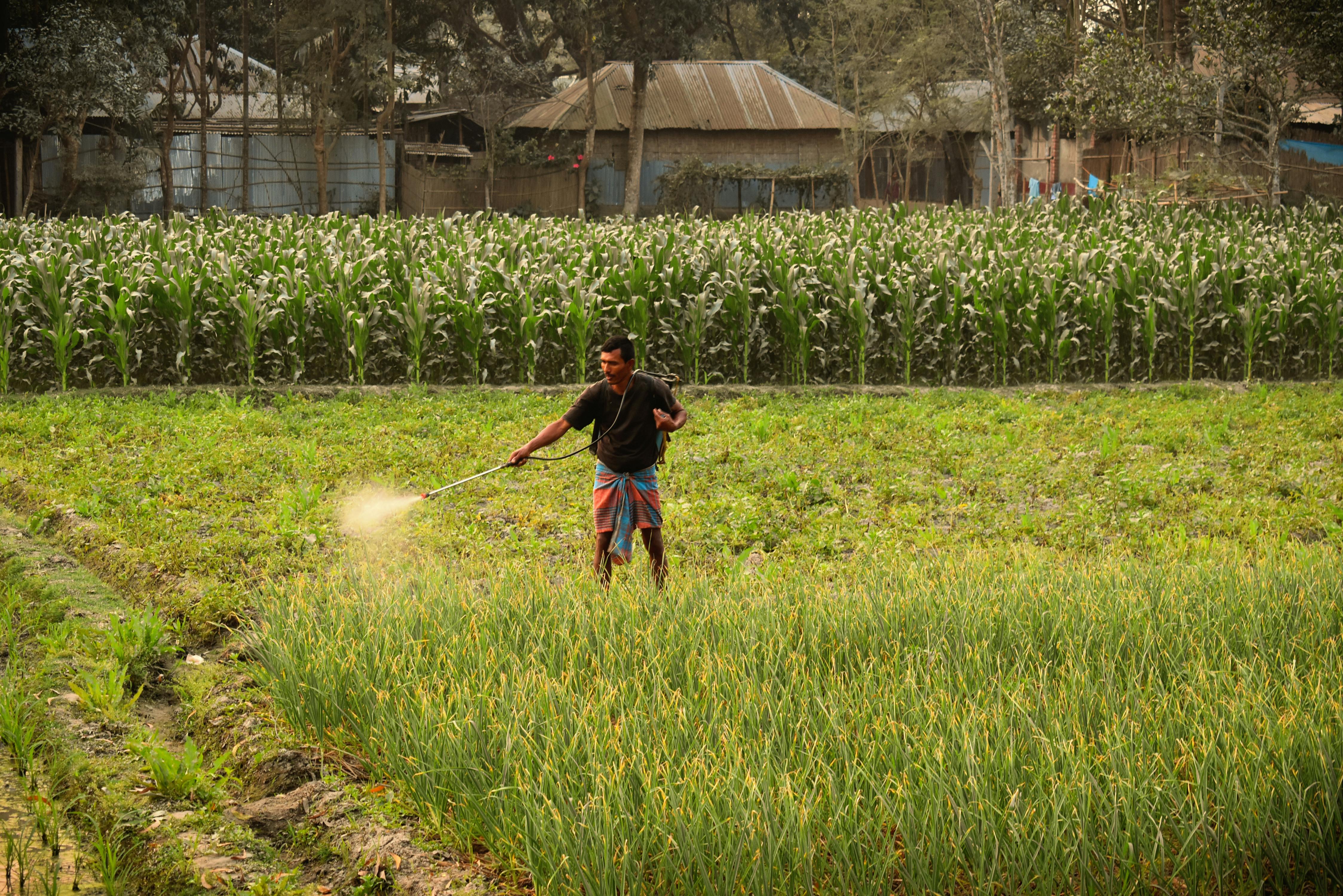 Biofarm insights image