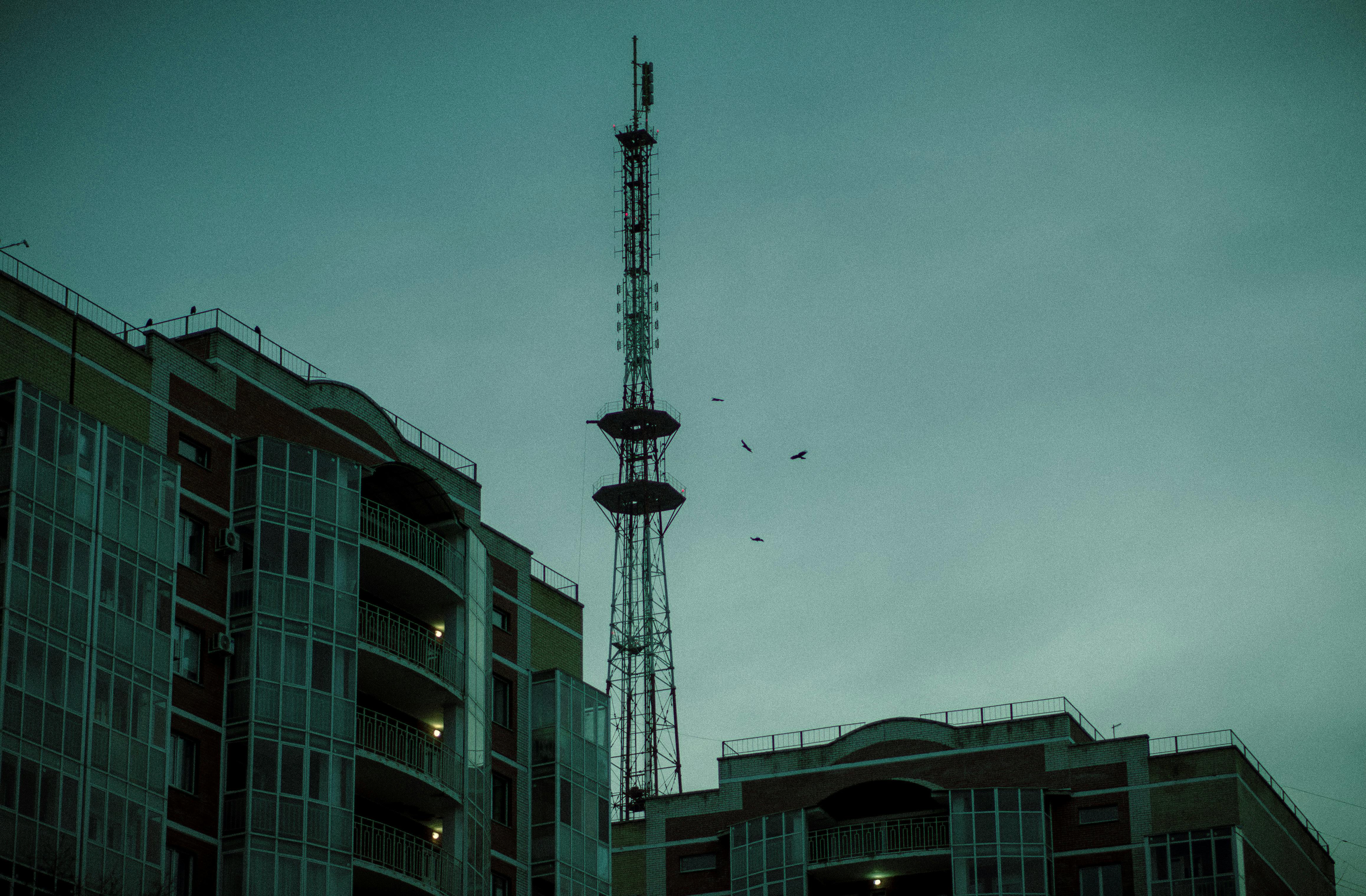 科技大廠10月營收放緩陸行之點名4公司股價有望突圍