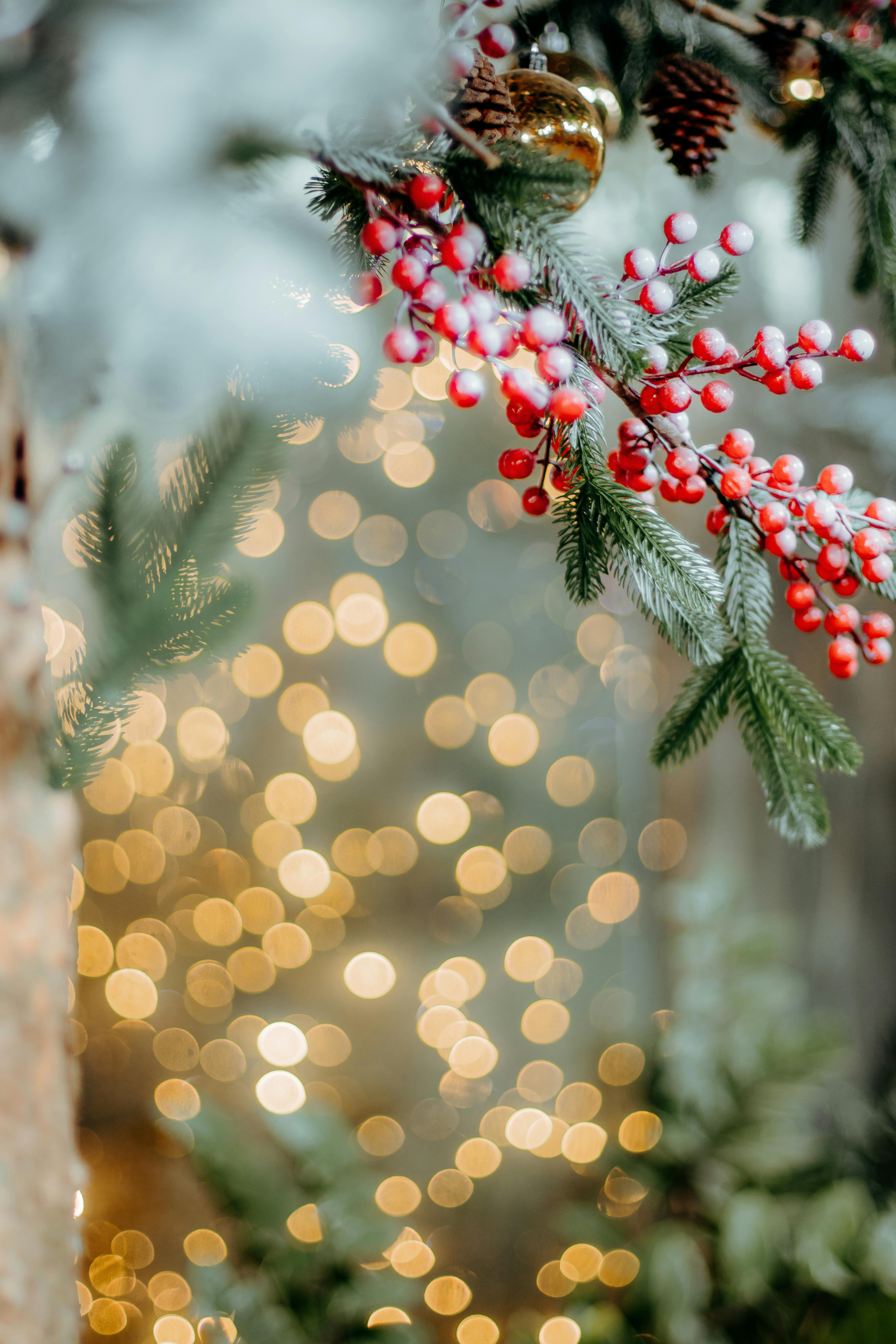 Blurred Christmas lights with pine and red berry decorations, creating a festive atmosphere.