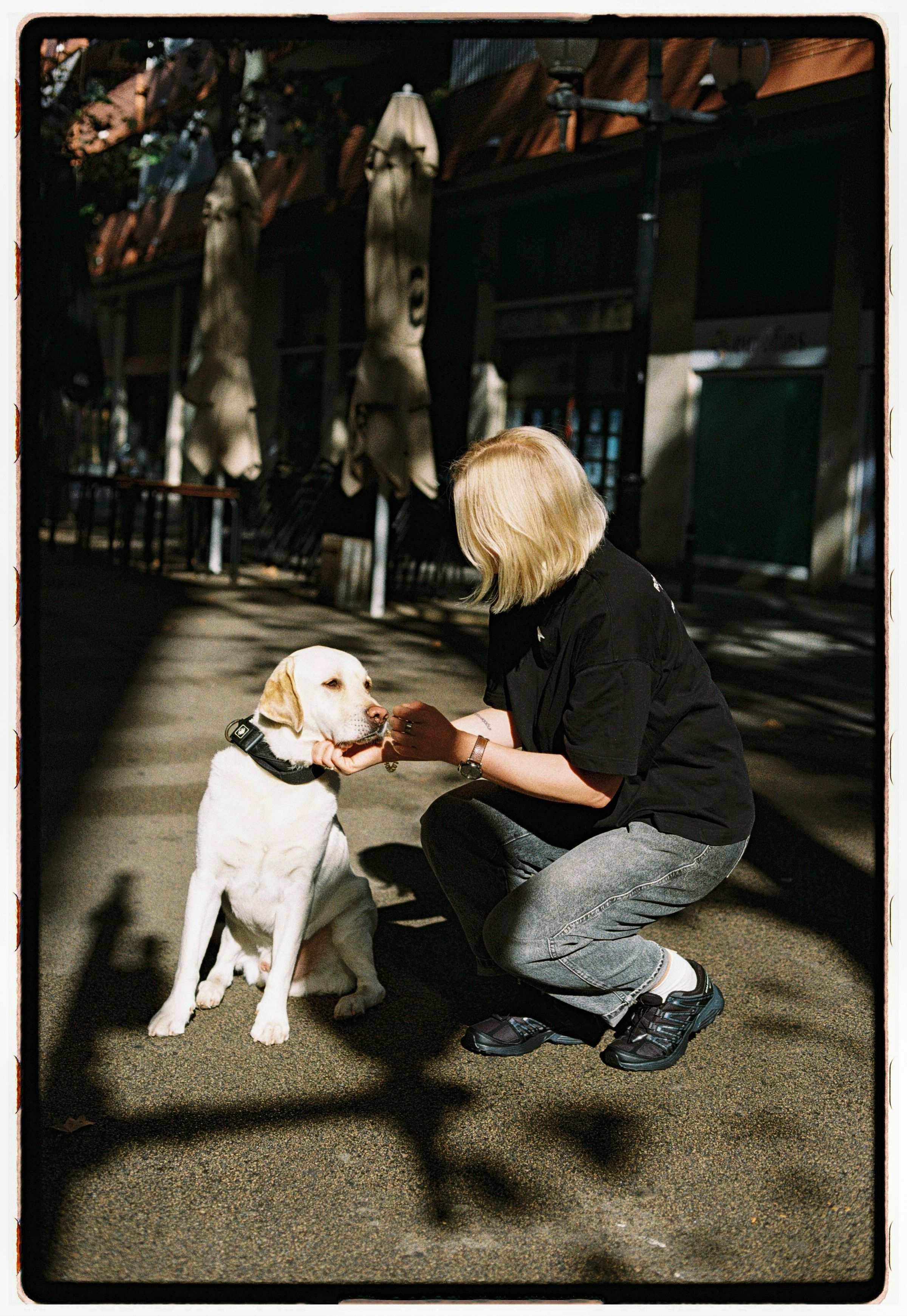 A woman with blonde hair petting a Labrador Retriever on a sunny city street.