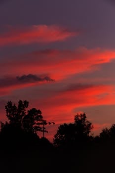 A stunning sunset casting vibrant red hues on the clouds with silhouetted trees.