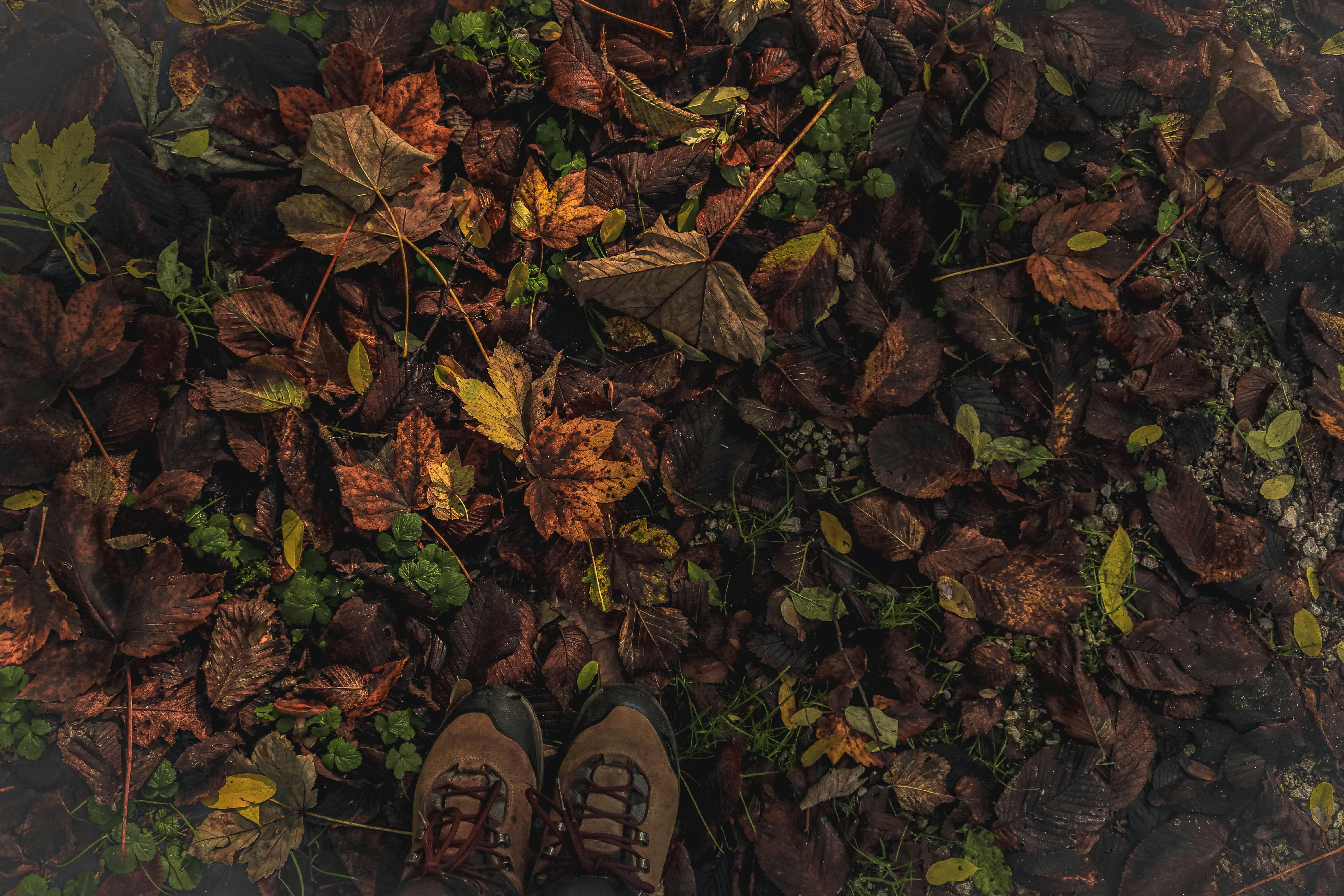 生活：千人健走響應勞工健康 臺東推職場安全與環保行動