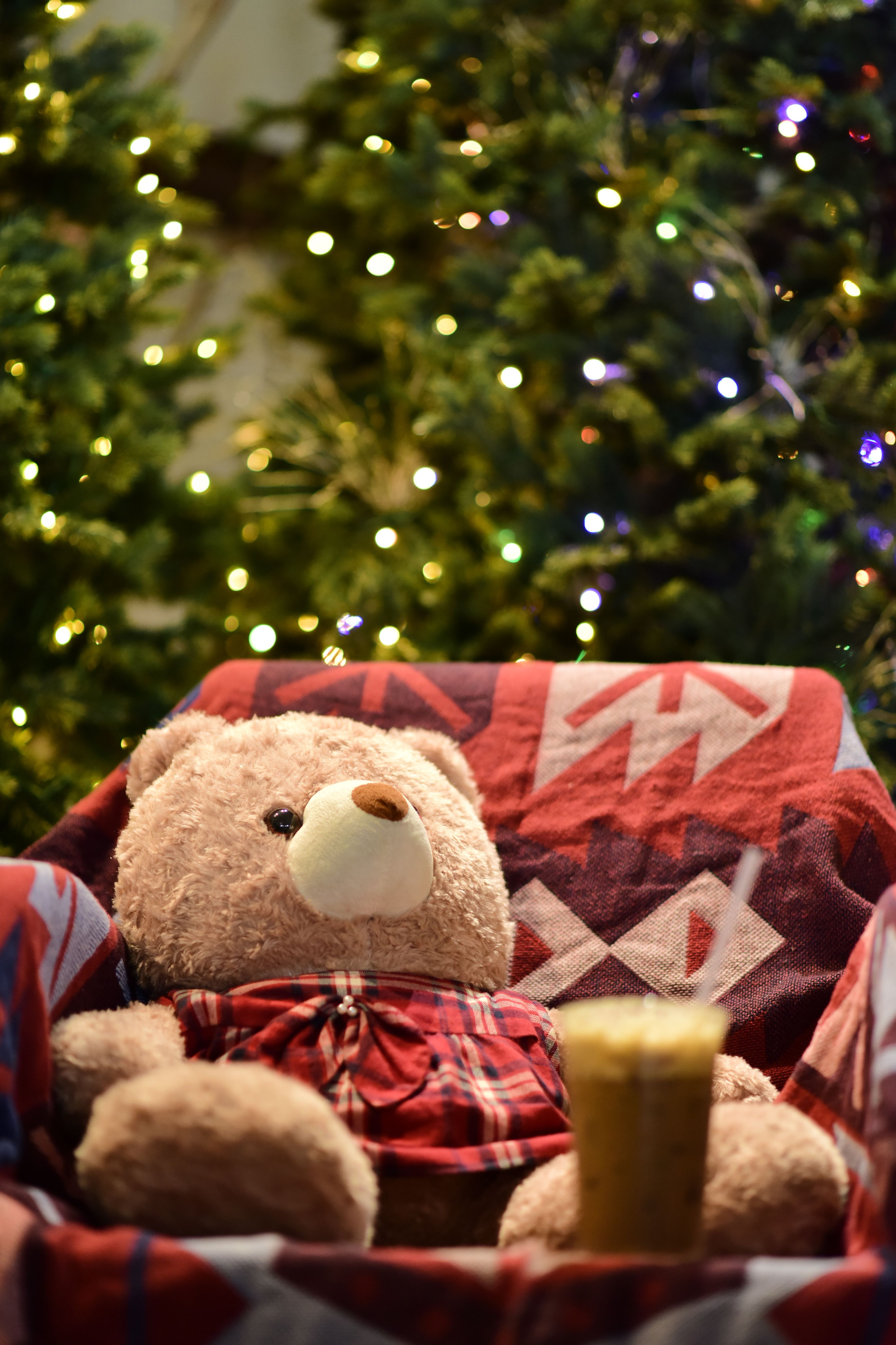 Ourson en peluche douillet près d'un sapin de Noël illuminé