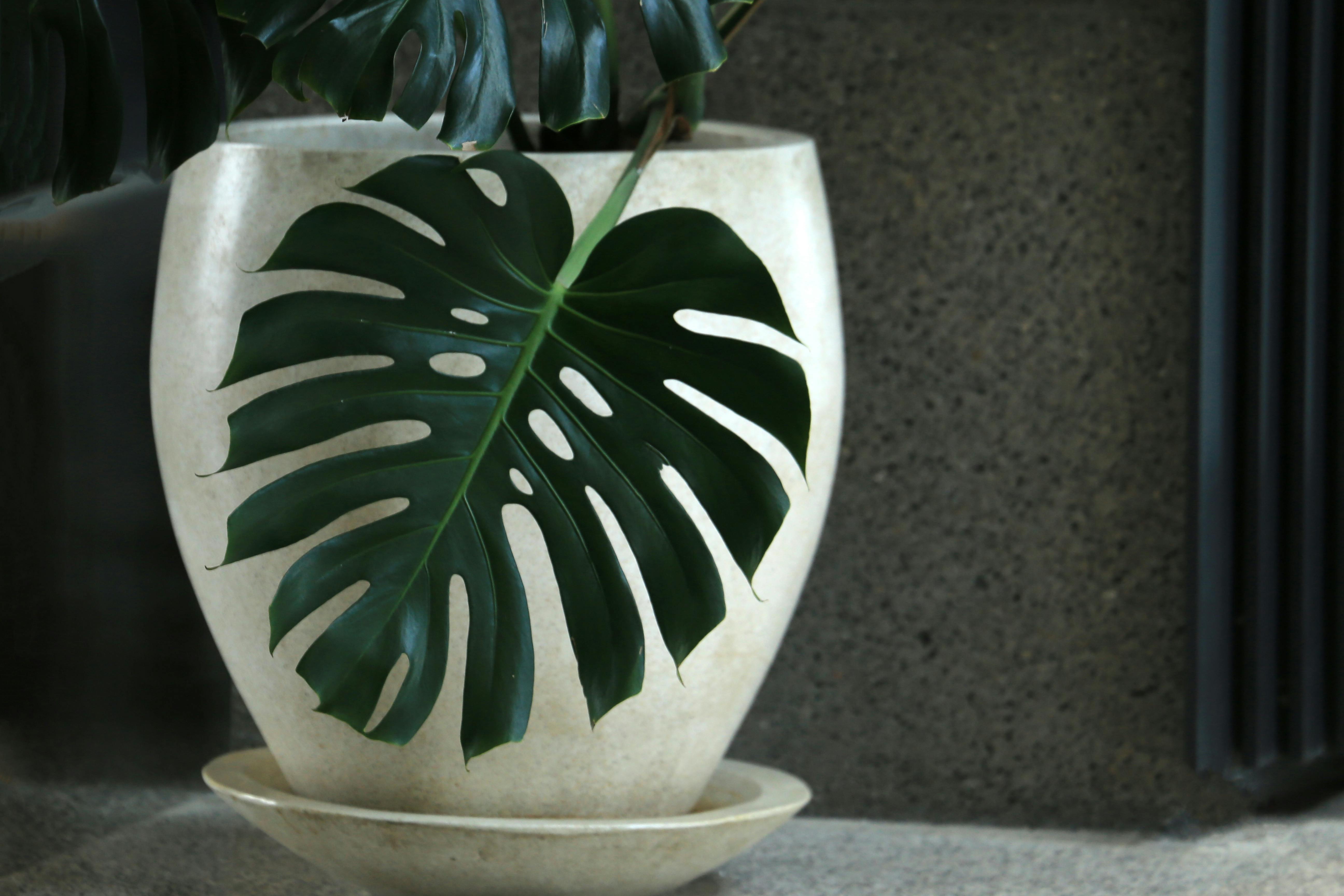 國際：中國擬全球追捕沈伯洋 陸委會強調不符引渡條件