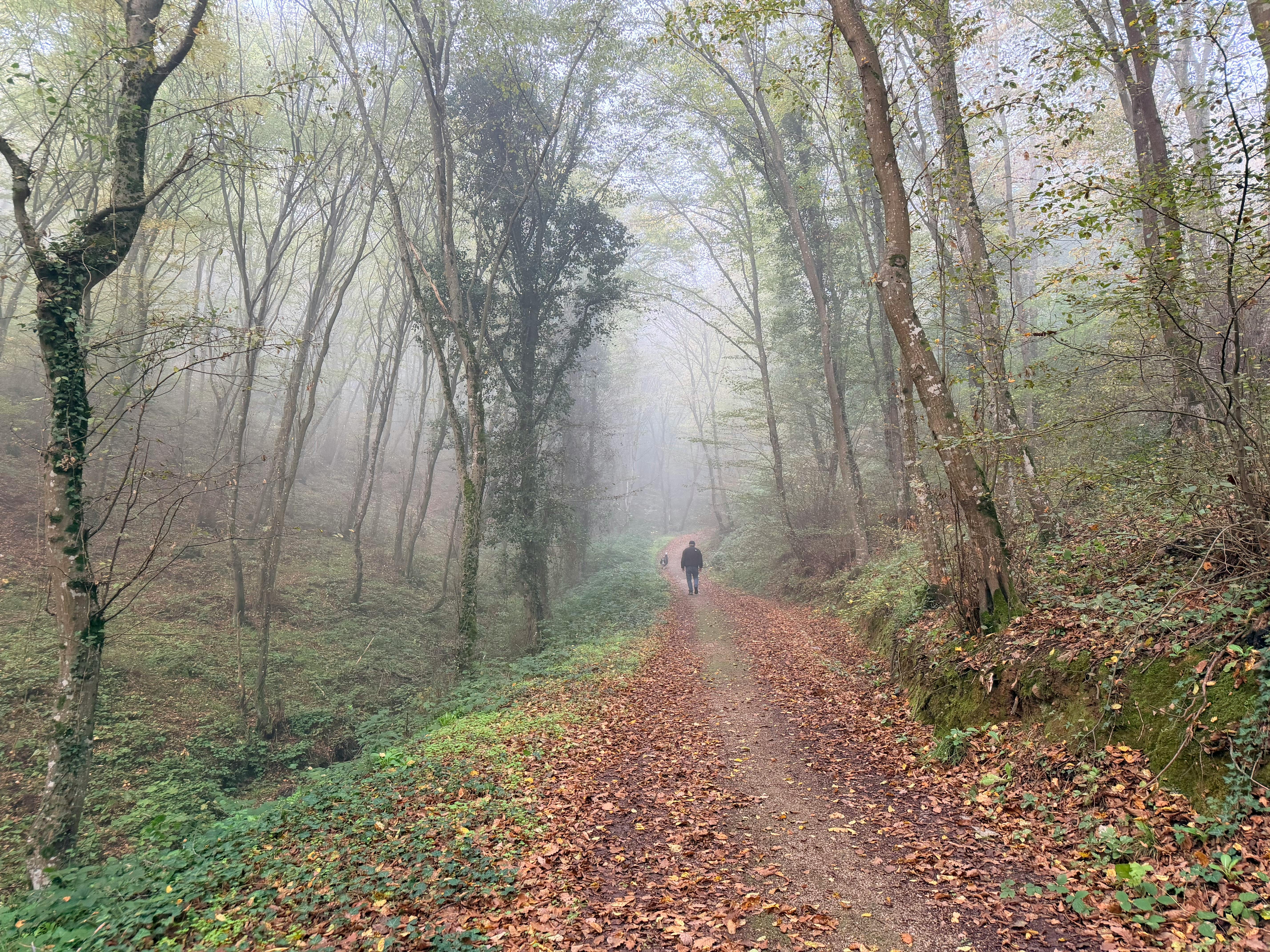 胸椎額狀面解析：提升健康生活的關鍵運動指南