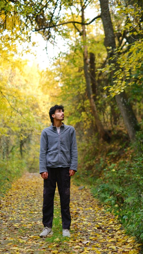 Free A young man stands contemplatively on a leafy forest path in autumn. Stock Photo