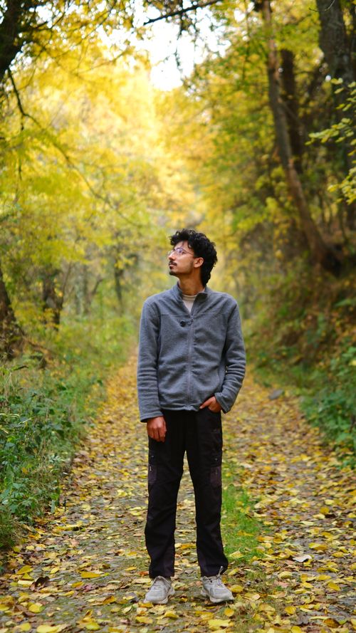Free A young man walks through a vibrant autumn forest, surrounded by yellow foliage. Stock Photo