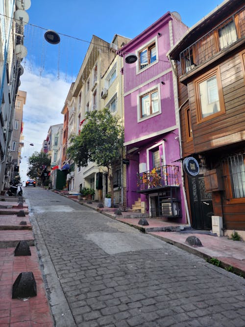 Katta jinsiy olatni bilan sikish Chochqa bilan jinsiy aloqada bolgan odam