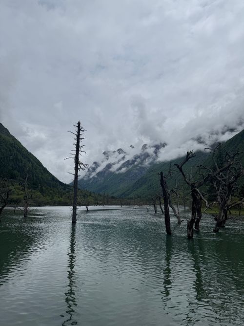 Free A serene mountain lake with barren trees under a cloudy sky, surrounded by majestic peaks. Stock Photo