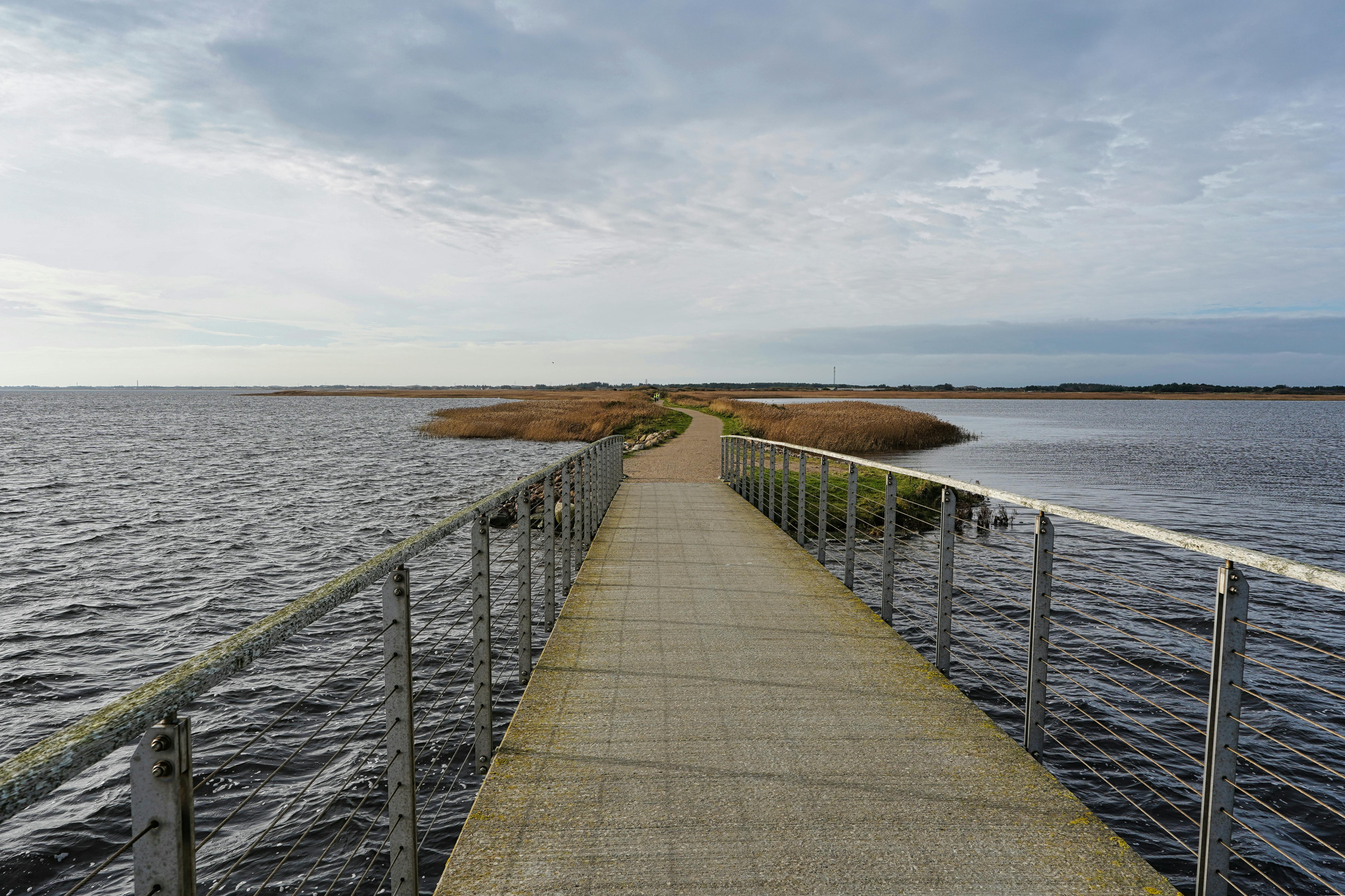 生活：千人健走響應勞工健康 臺東推職場安全與環保行動