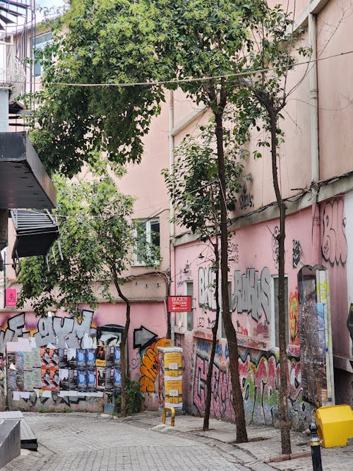 Tranning ogzida Twitterdagi MFF jinsiy aloqa videolari