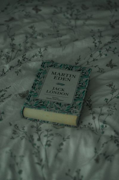 A copy of Martin Eden by Jack London resting on a floral bedsheet