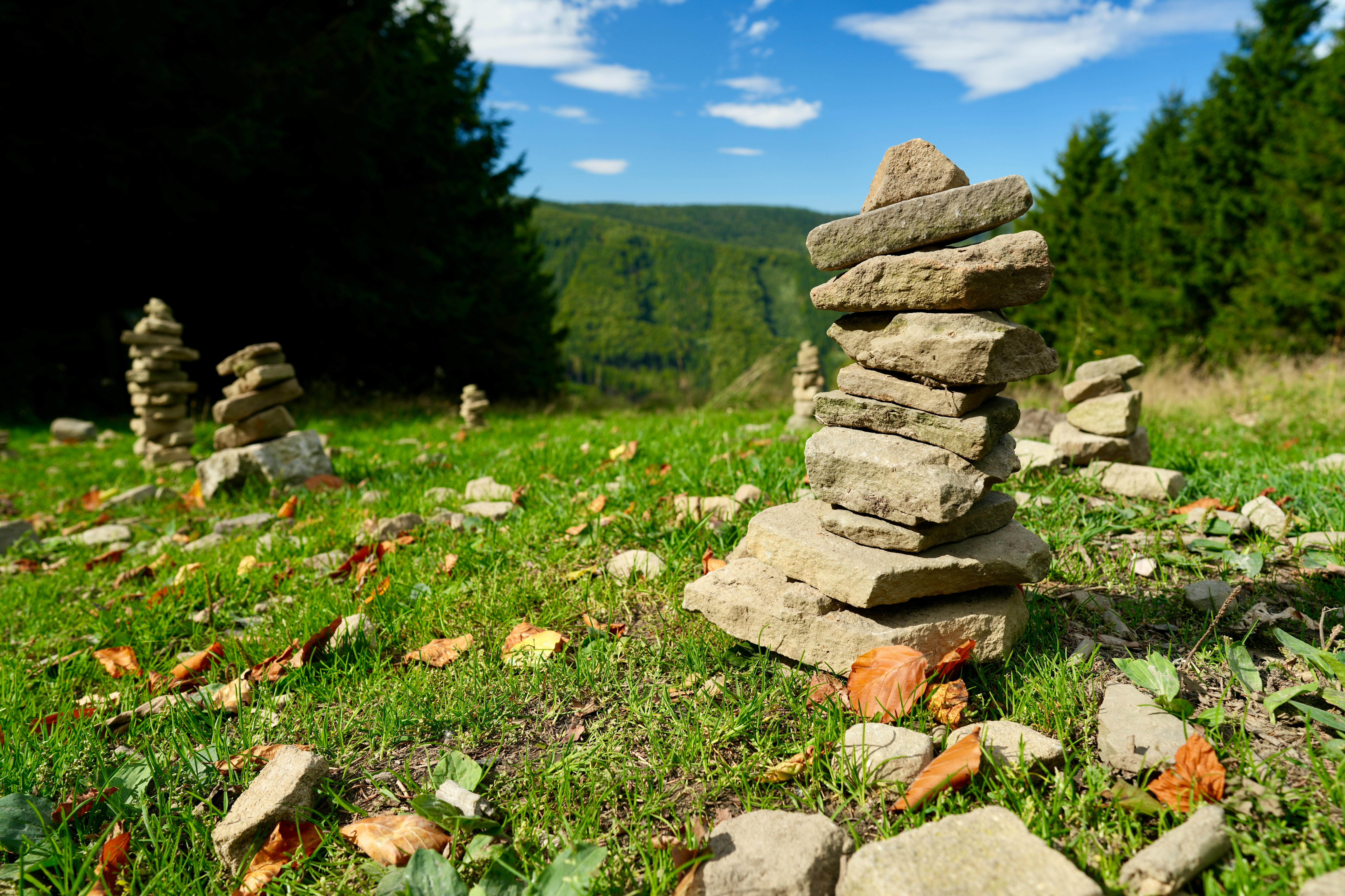 We Hauled Rocks, Stacked Wood, and Planted Seeds to Find the Best Gardening Gloves — Photo by Jucha on Pexels