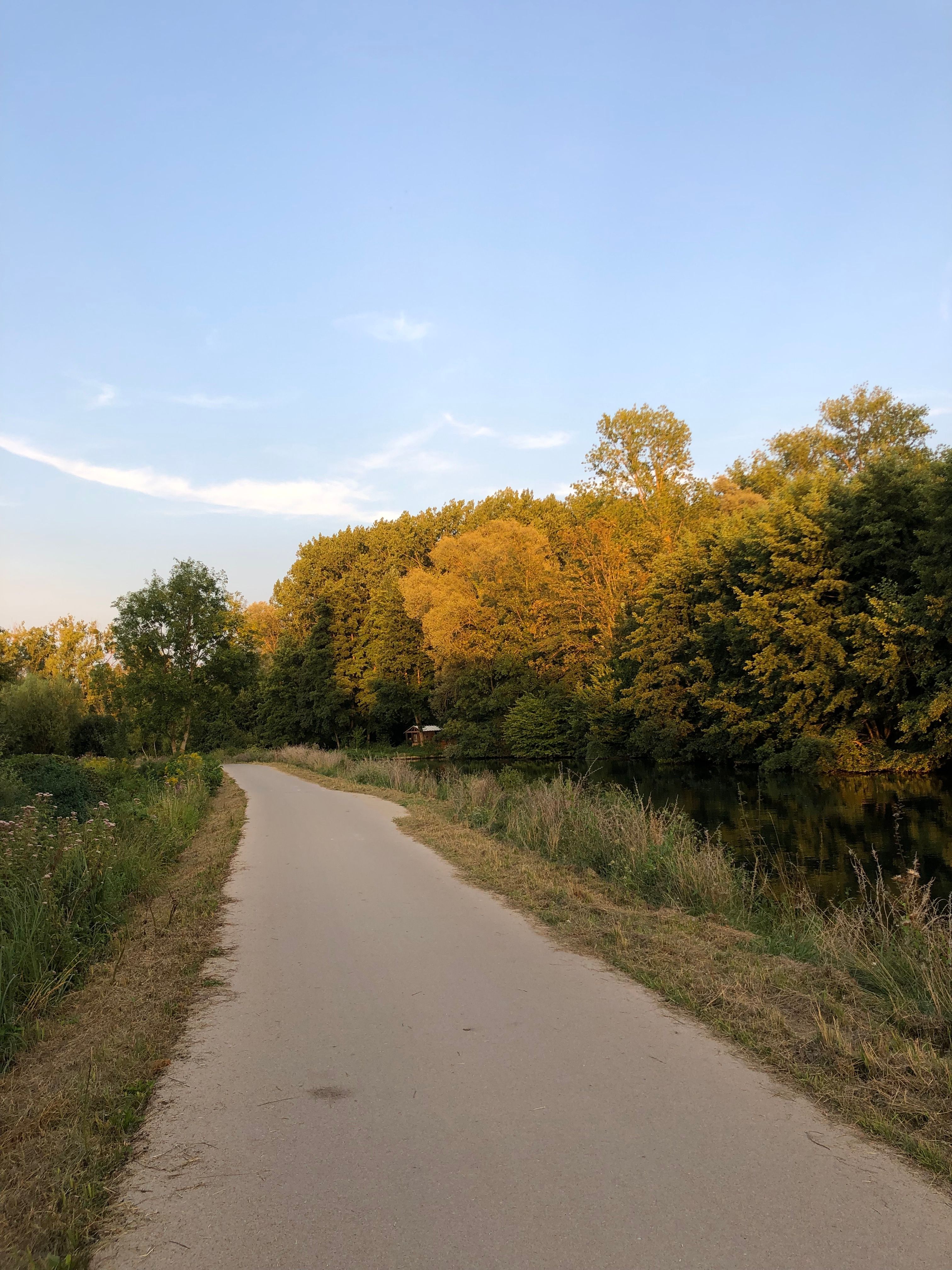 Scenic Pathway Through Golden Autumn Trees · Free Stock Photo