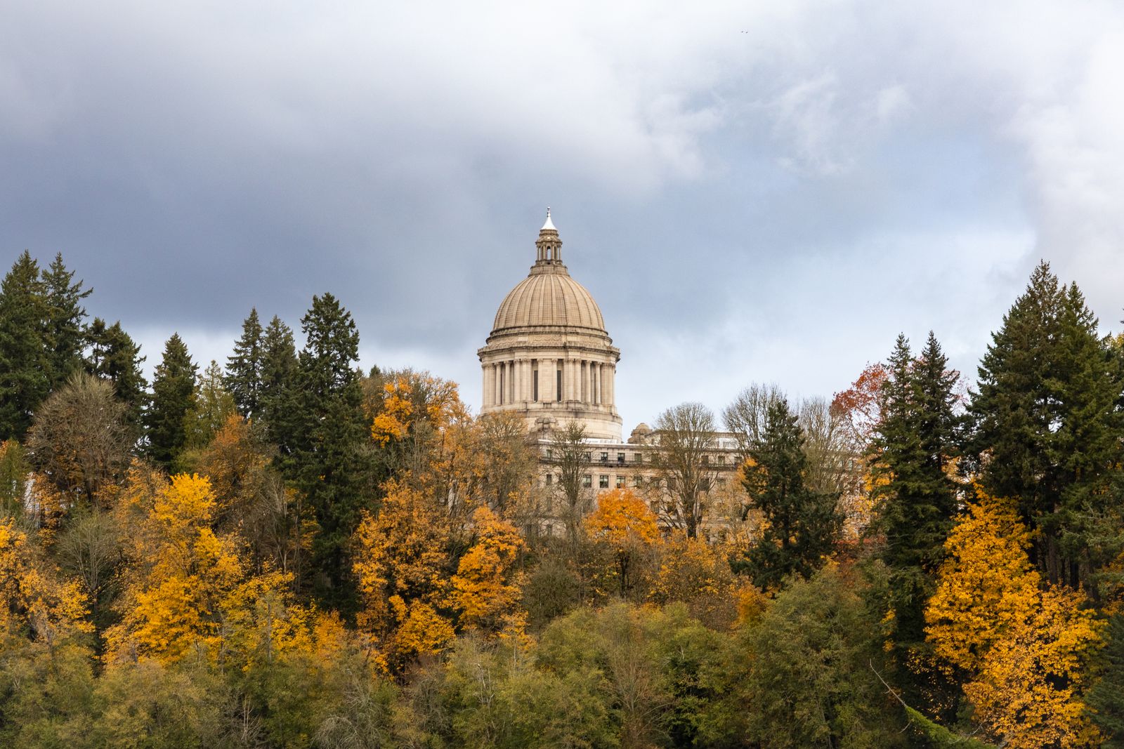 A View of the Washington State Capitol · Free Stock Photo