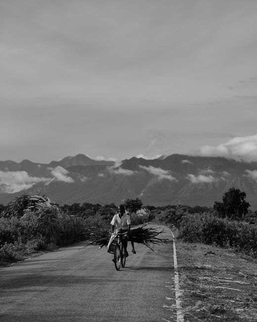 A man cycles on a rural road with hills in the background in Alipurduar, India.