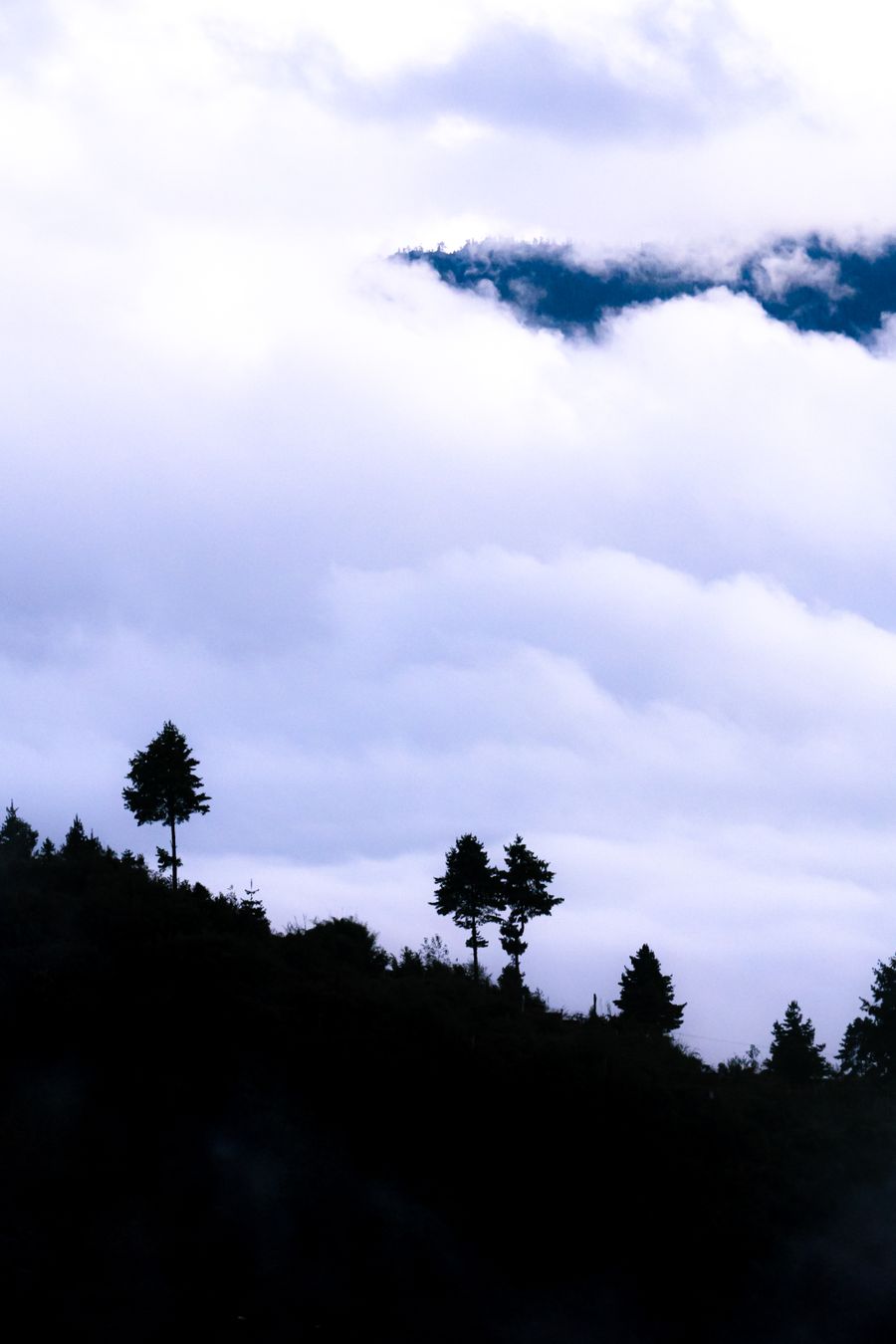 Bomdila photo 3