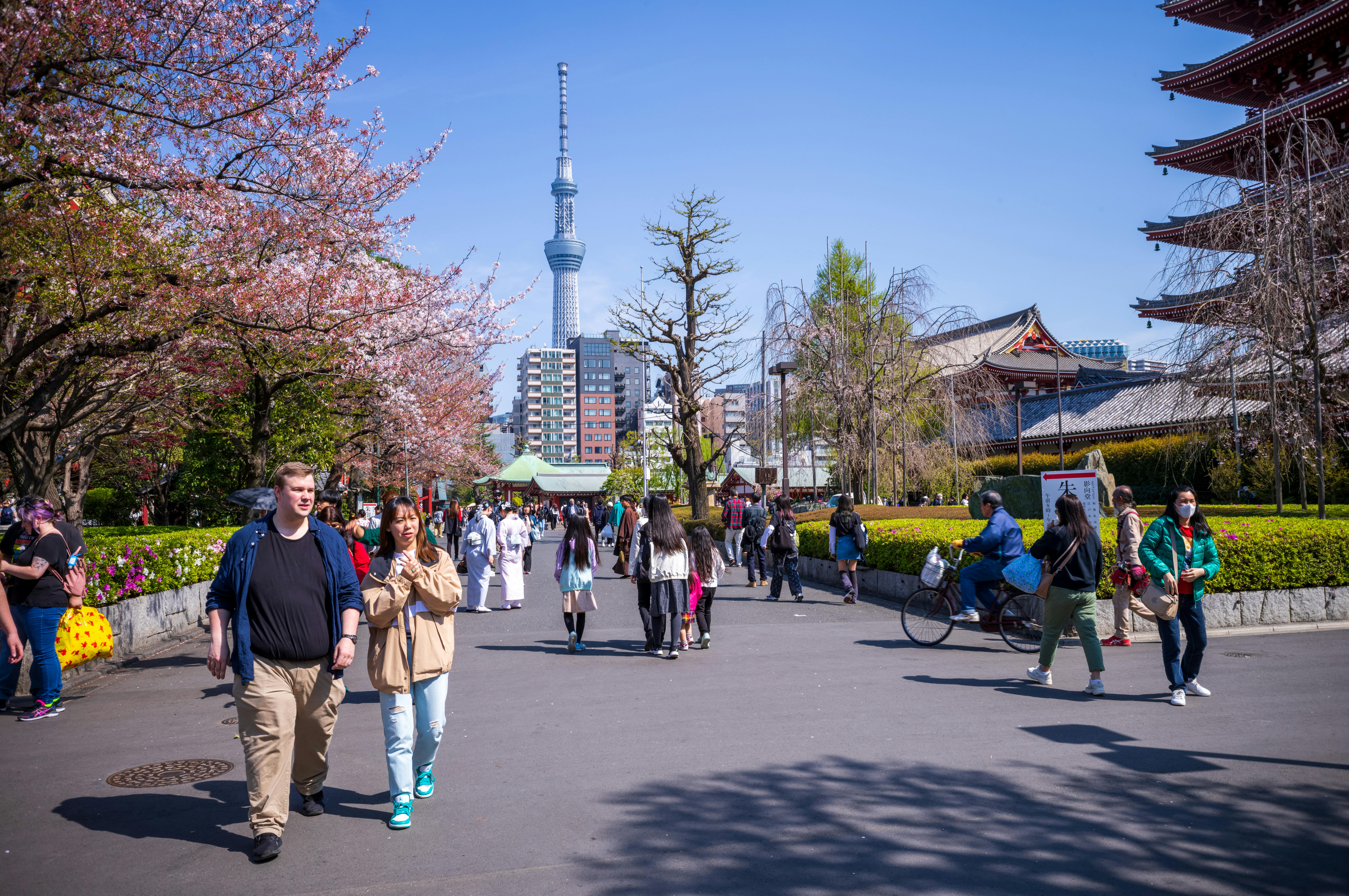 Tokyo on a Budget — How to Visit Without Breaking the Bank