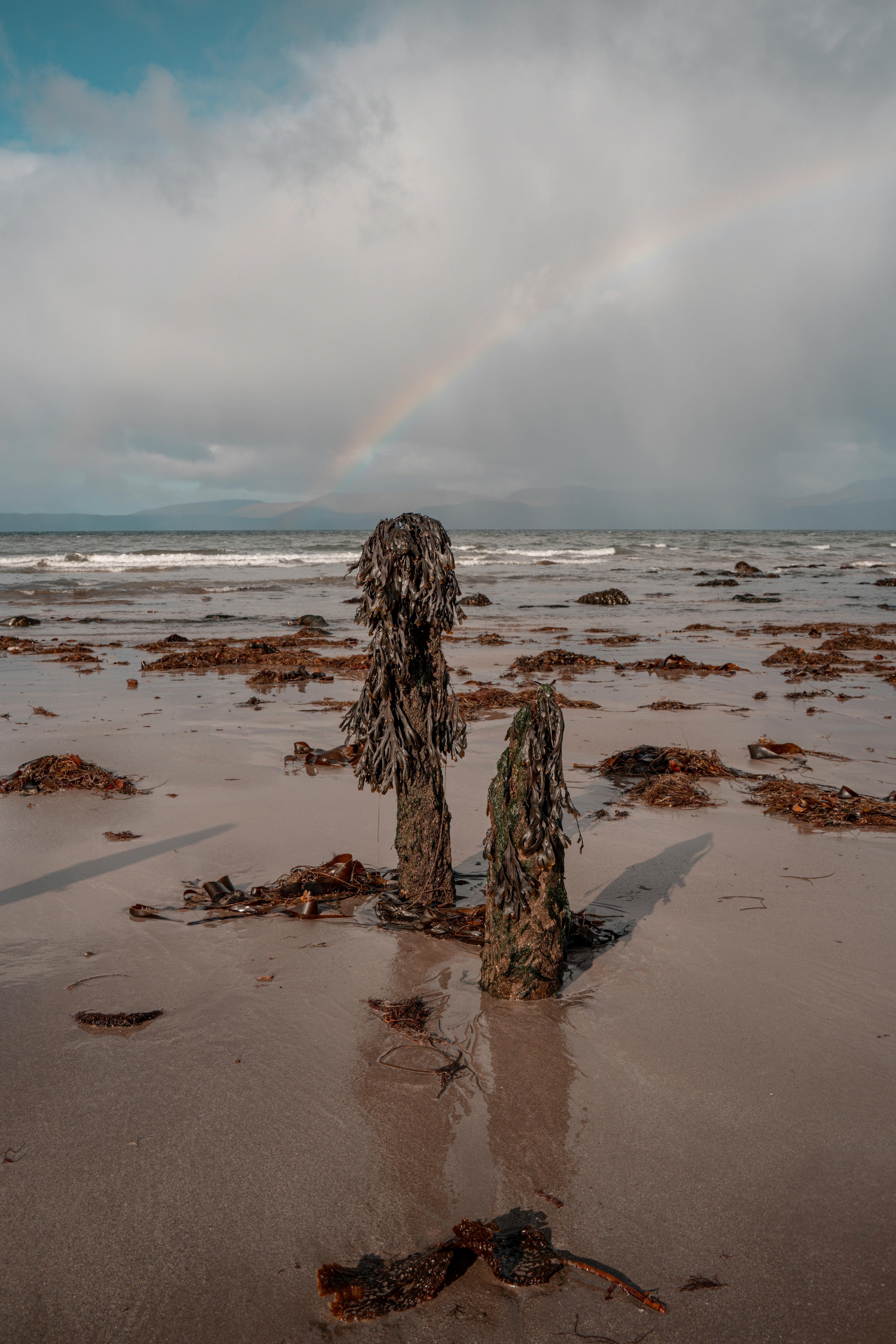 Free stock photo of 4k beach, 4k wallpaper, aesthetic mobile wallpaper