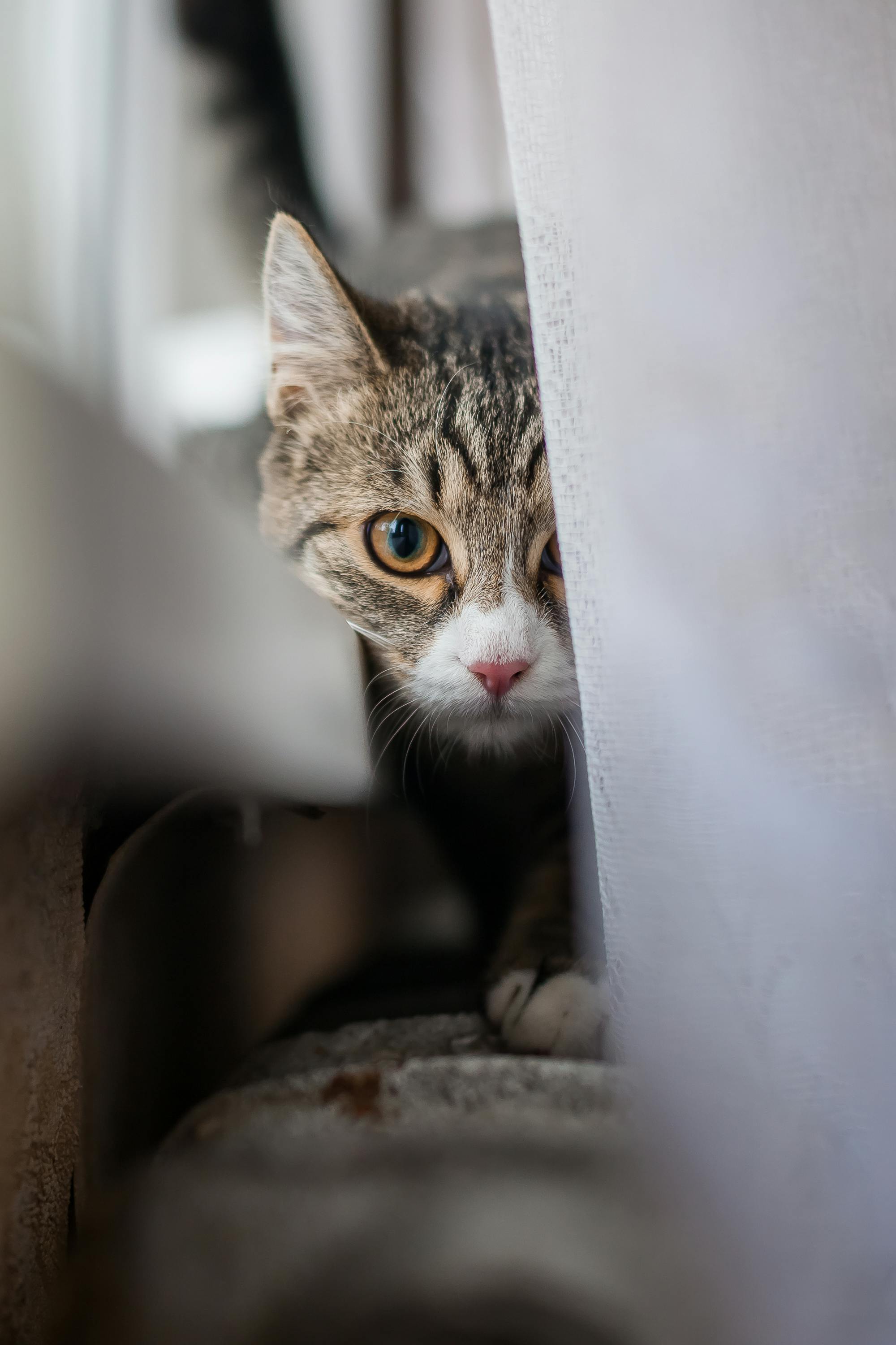 Backlinks Durch Studien Generieren: So Steigern Sie Ihre Sichtbarkeit! 4 Kreative Wege zur Nutzung von Studien für effektive Backlink-Generierung