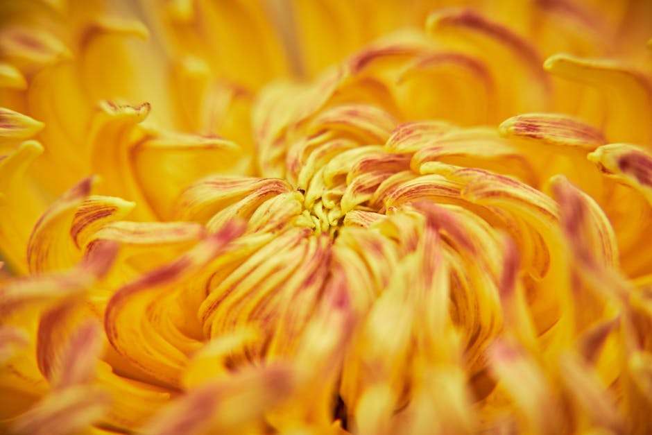 tight crop on a flower showing intricate details - close up composition mastery tight crop on a flower showing intricate details - close up composition mastery