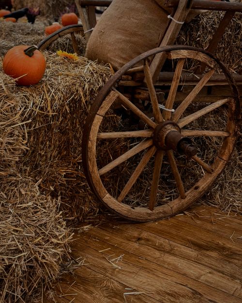 Free Autumn scene featuring a wooden cart wheel, pumpkins, and hay bales. Stock Photo