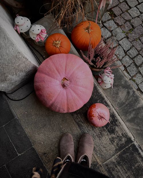 Free A vibrant autumn scene with pink and orange pumpkins next to decorative candles and boots on a cobblestone path. Stock Photo