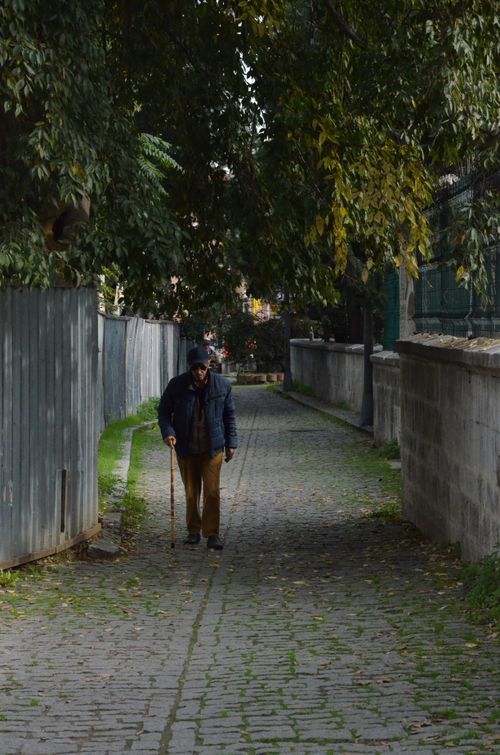 Free An elderly man with a cane walks along a cobblestone street lined with trees in İstanbul. Stock Photo