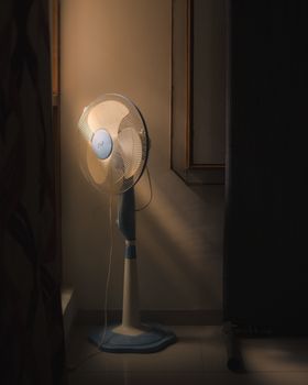 USHA MAXX AIR 400 MM PADASTLE FAN