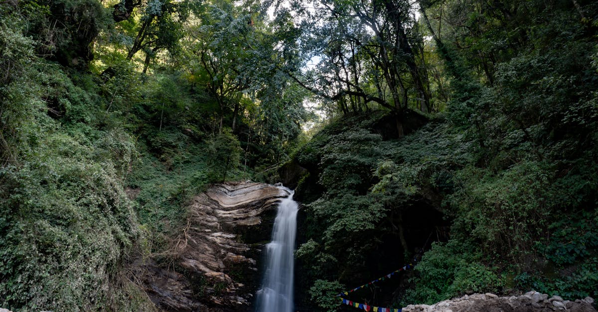 政治:蘇丹網友誤認我國為中國大陸 國防部澄清中華民國身份