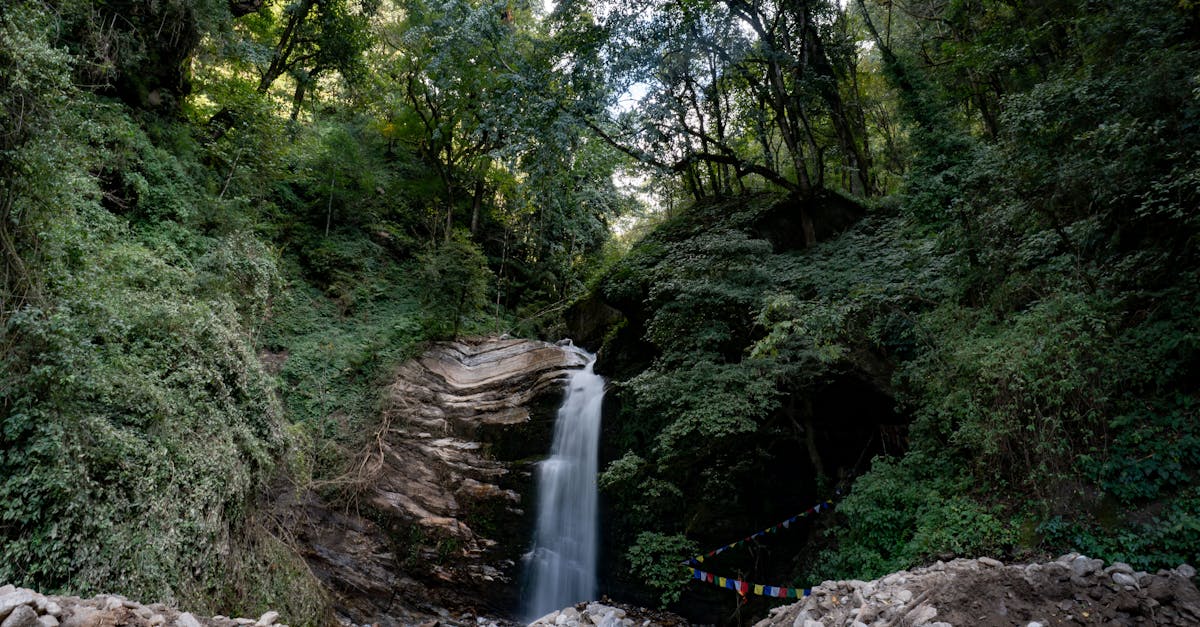 政治:蘇丹網友誤認我國為中國大陸 國防部澄清中華民國身份