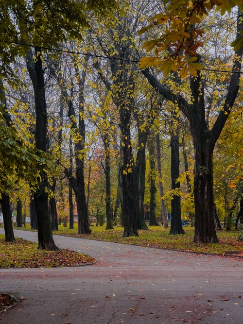 Free Beautiful autumn path in a park in Shumen, Bulgaria, with colorful foliage and tall trees. Stock Photo