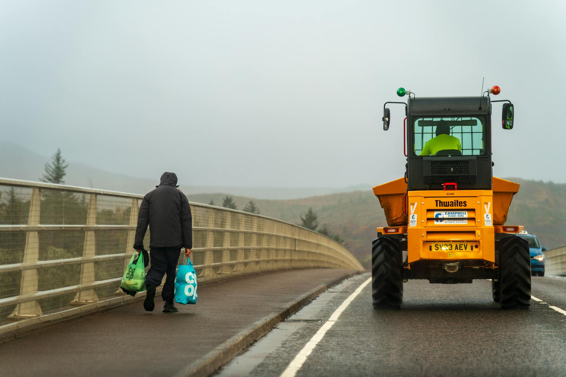 Manor Lords gameplay featuring city building and resource management.