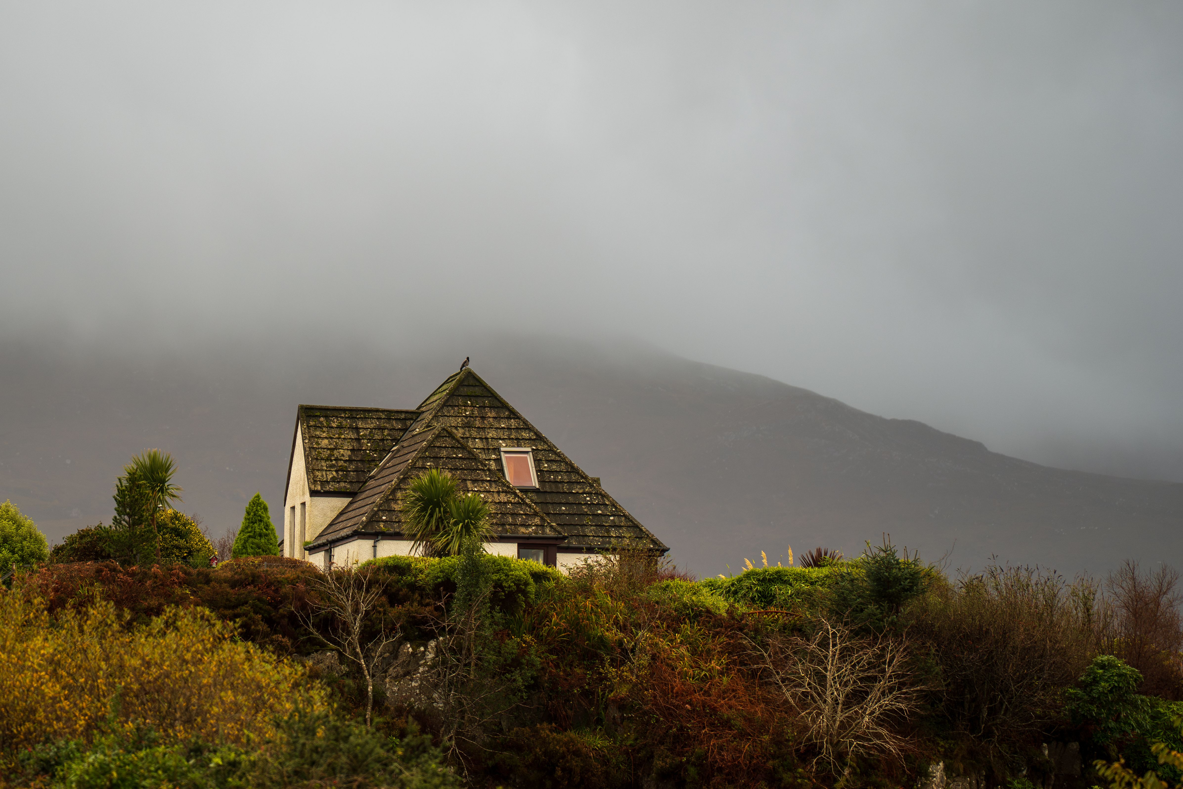 Charming Cottage Amidst Misty Mountain Landscape · Free Stock Photo