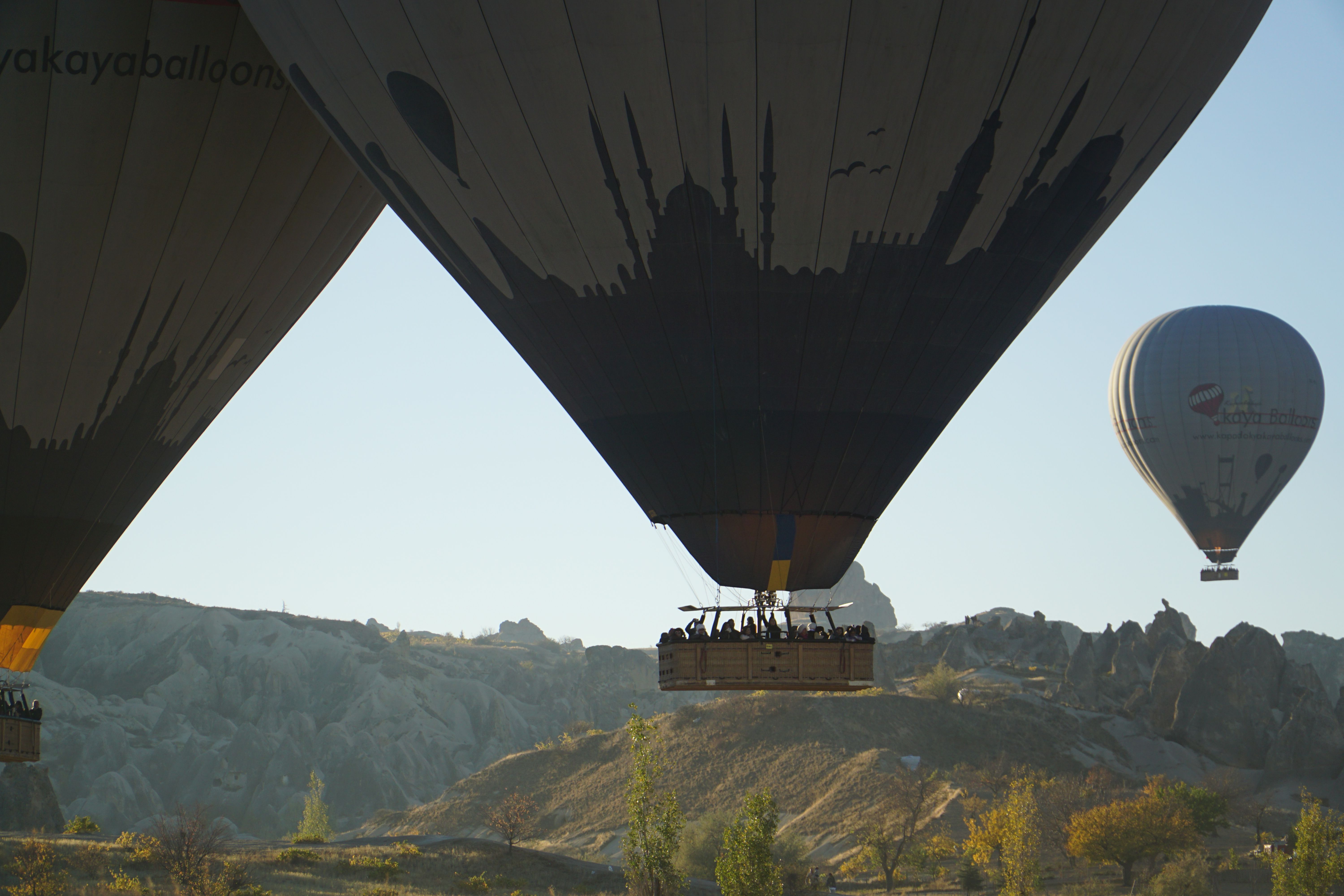 Hot Air Balloons Soaring Over Cappadocia Landscape · Free Stock Photo
