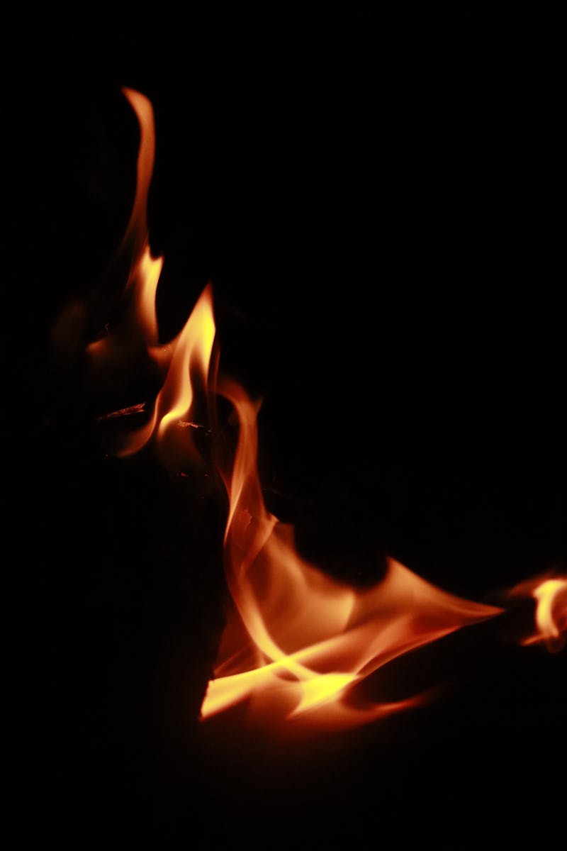 Dramatic close-up of flames against a dark background, highlighting fiery elegance