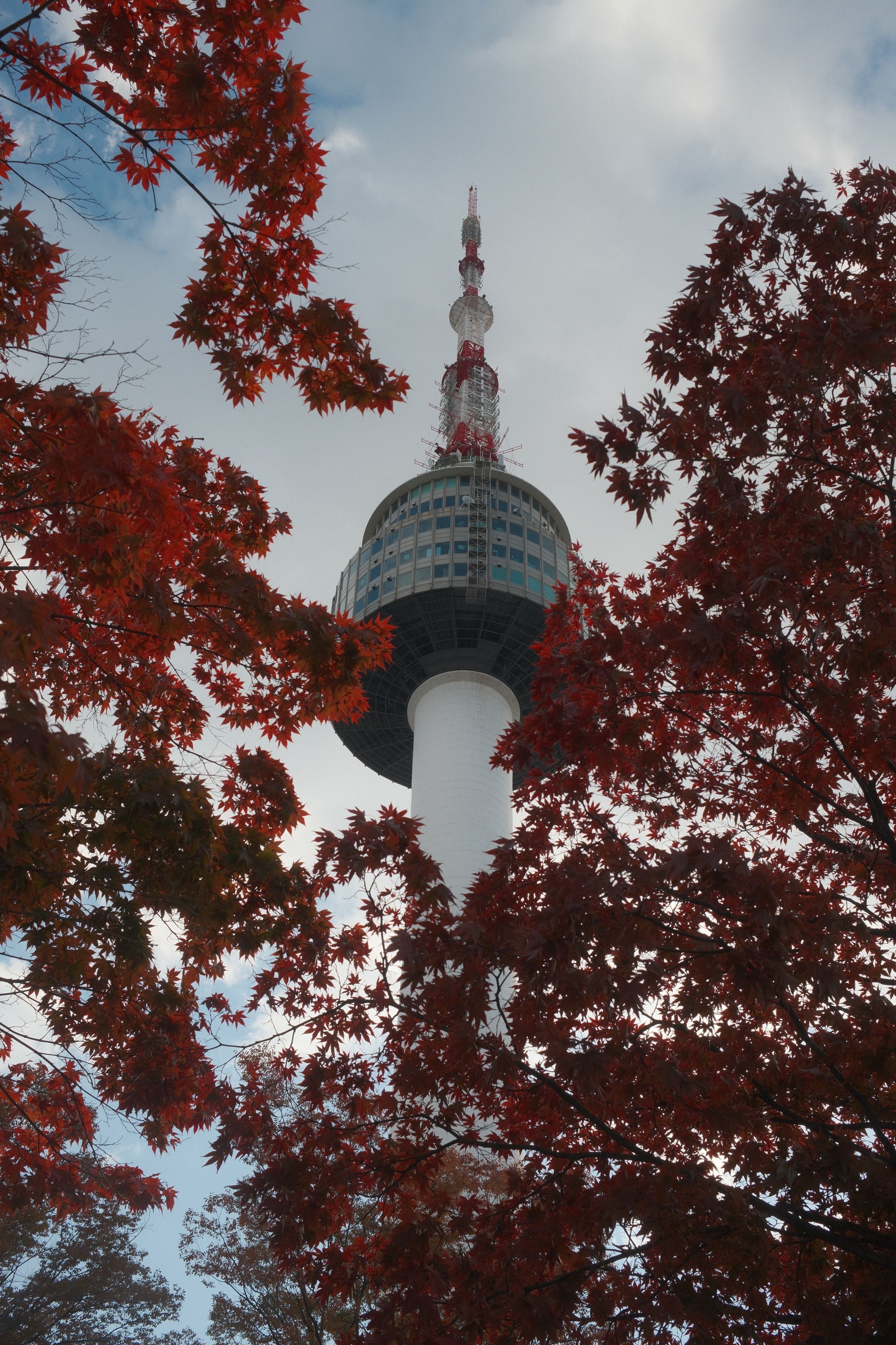 N Seoul Tower ticket combo with cable car and extra attractions