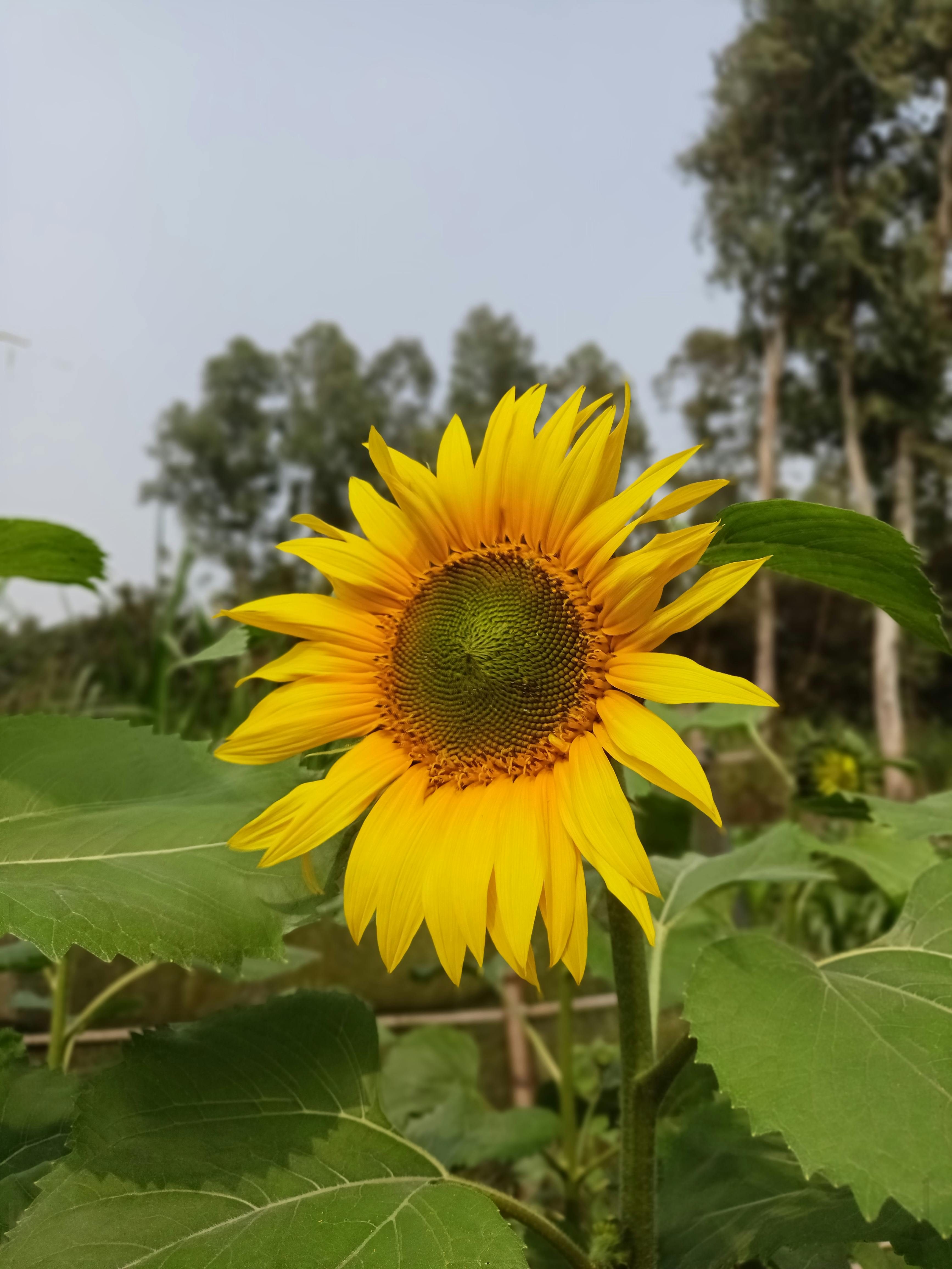 Kiralık Daire Kontratınızı Güvence Altına Almanın 8 Etkili Yolu