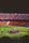 stadium
