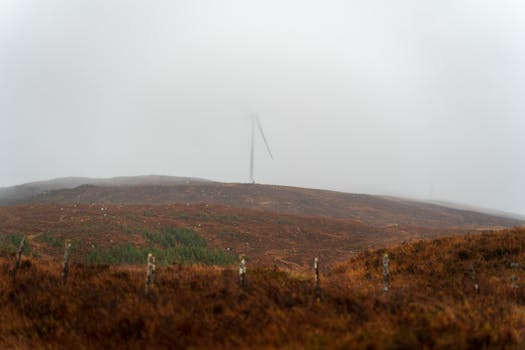 Renewable Energy Scientist