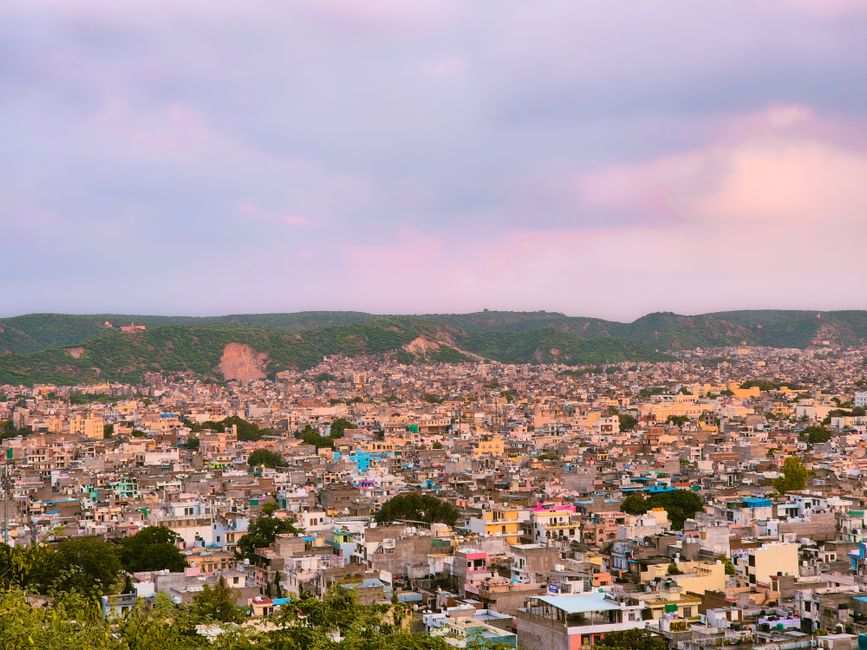 Jaipur costs - Tropical city with palm trees and blue skies