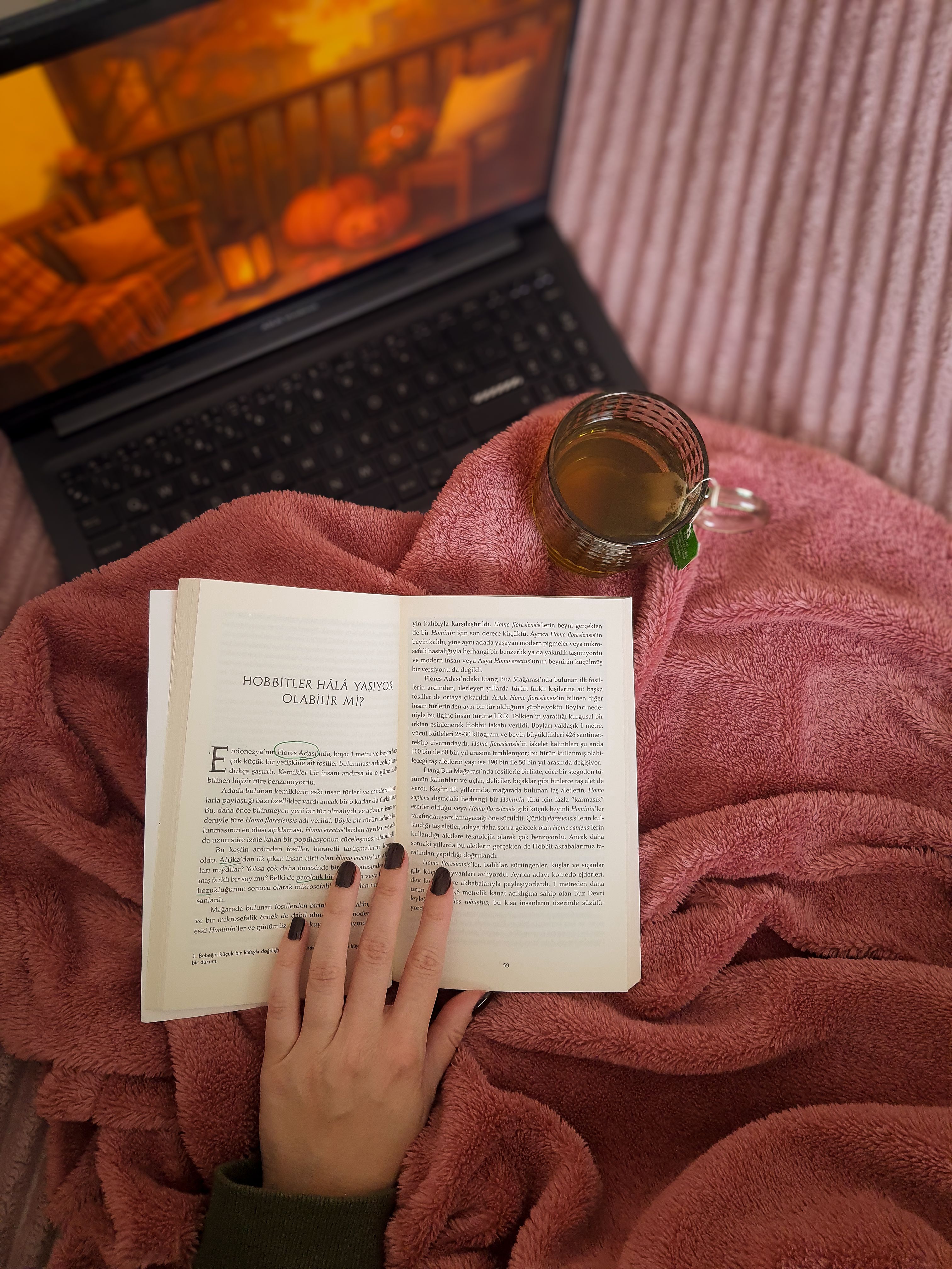 More Cozy Reading