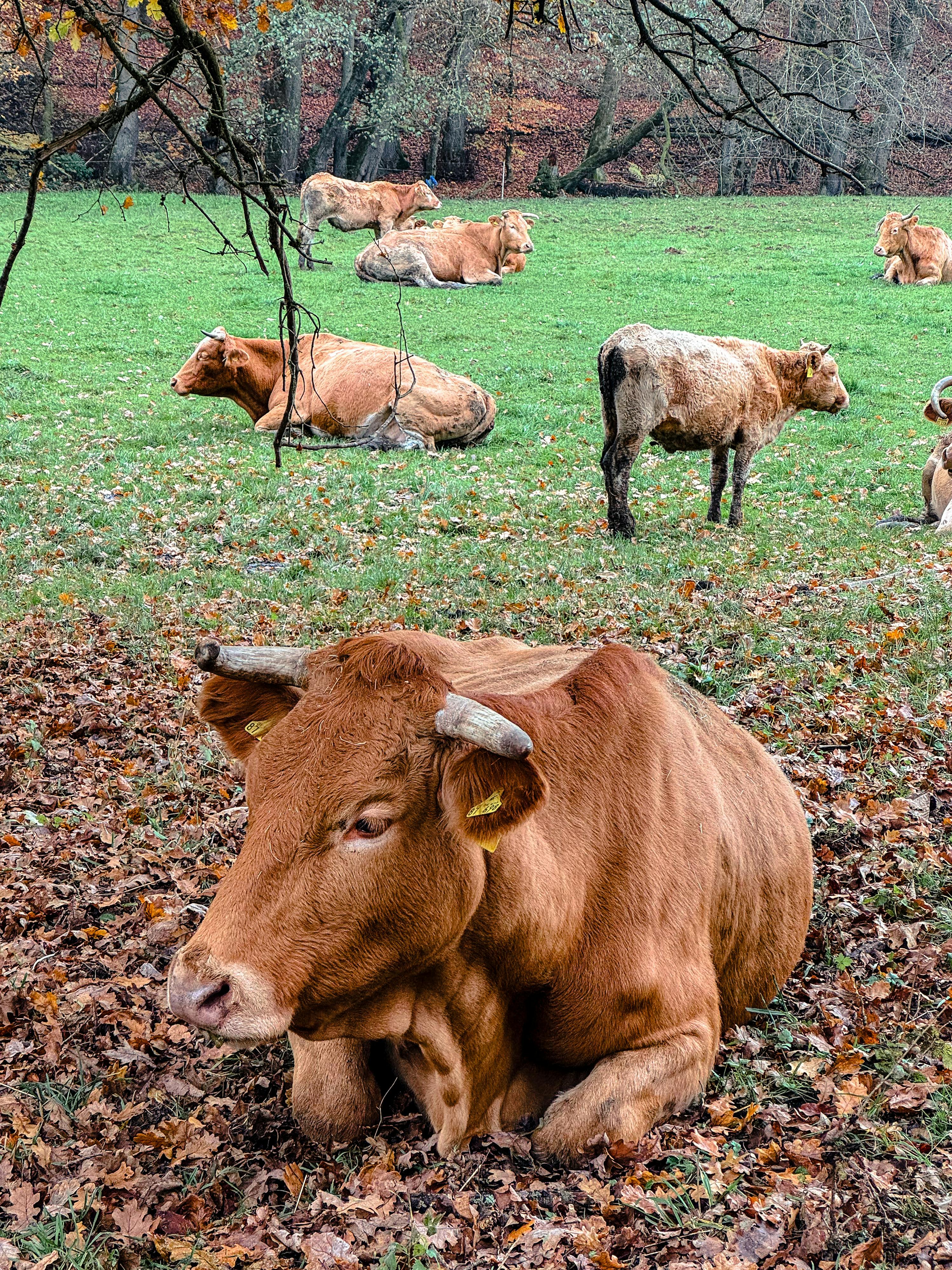 Credea că scapă nepedepsit