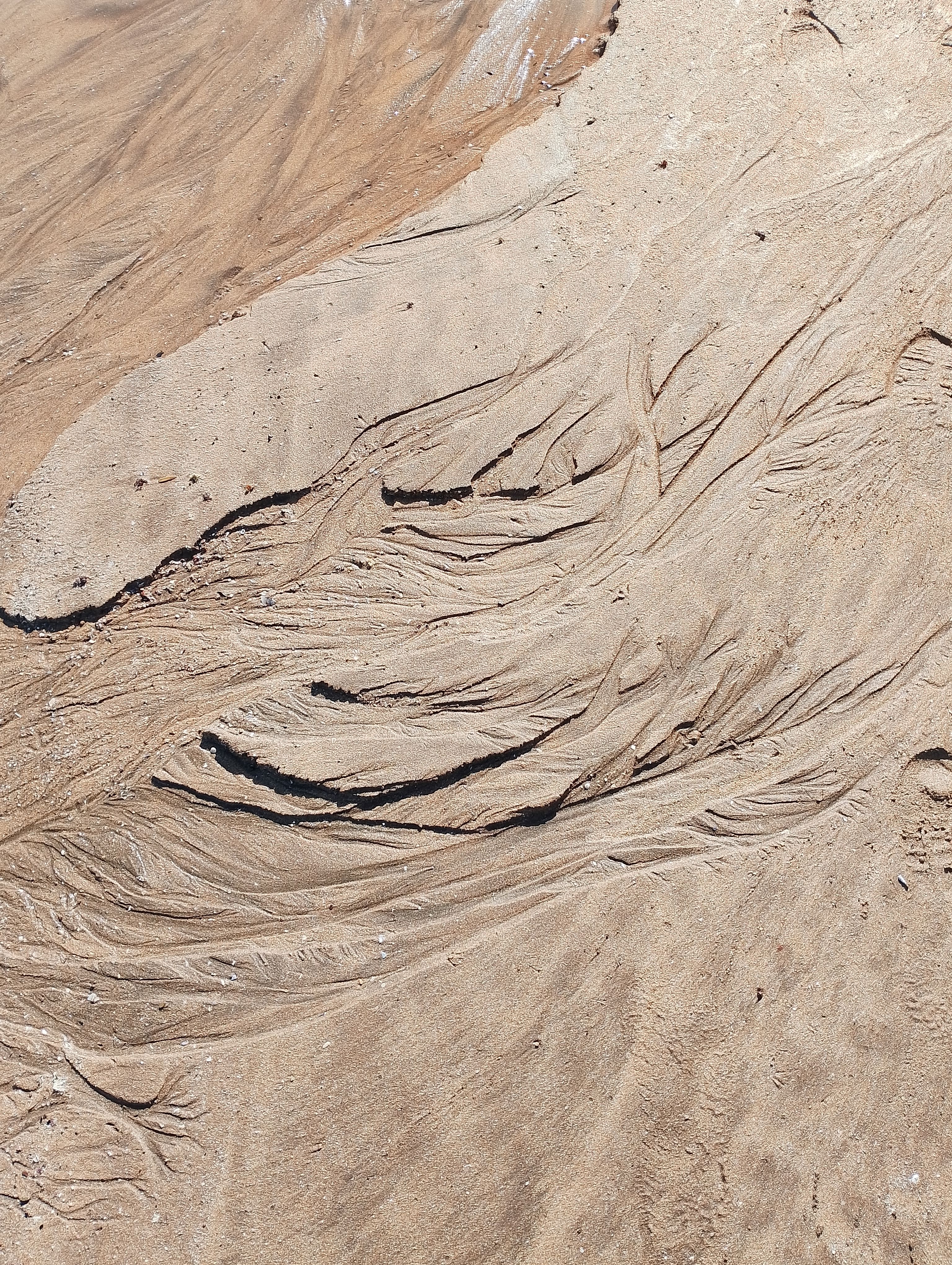Natural Sand Patterns on Casablanca Beach · Free Stock Photo