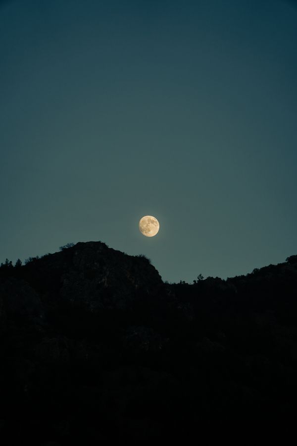 A Full Moon in the Night Sky · Free Stock Photo