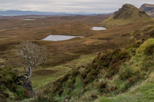 Explore the breathtaking Quiraing in Scotland's Isle of Skye, showcasing rugged peaks and serene lochs.
